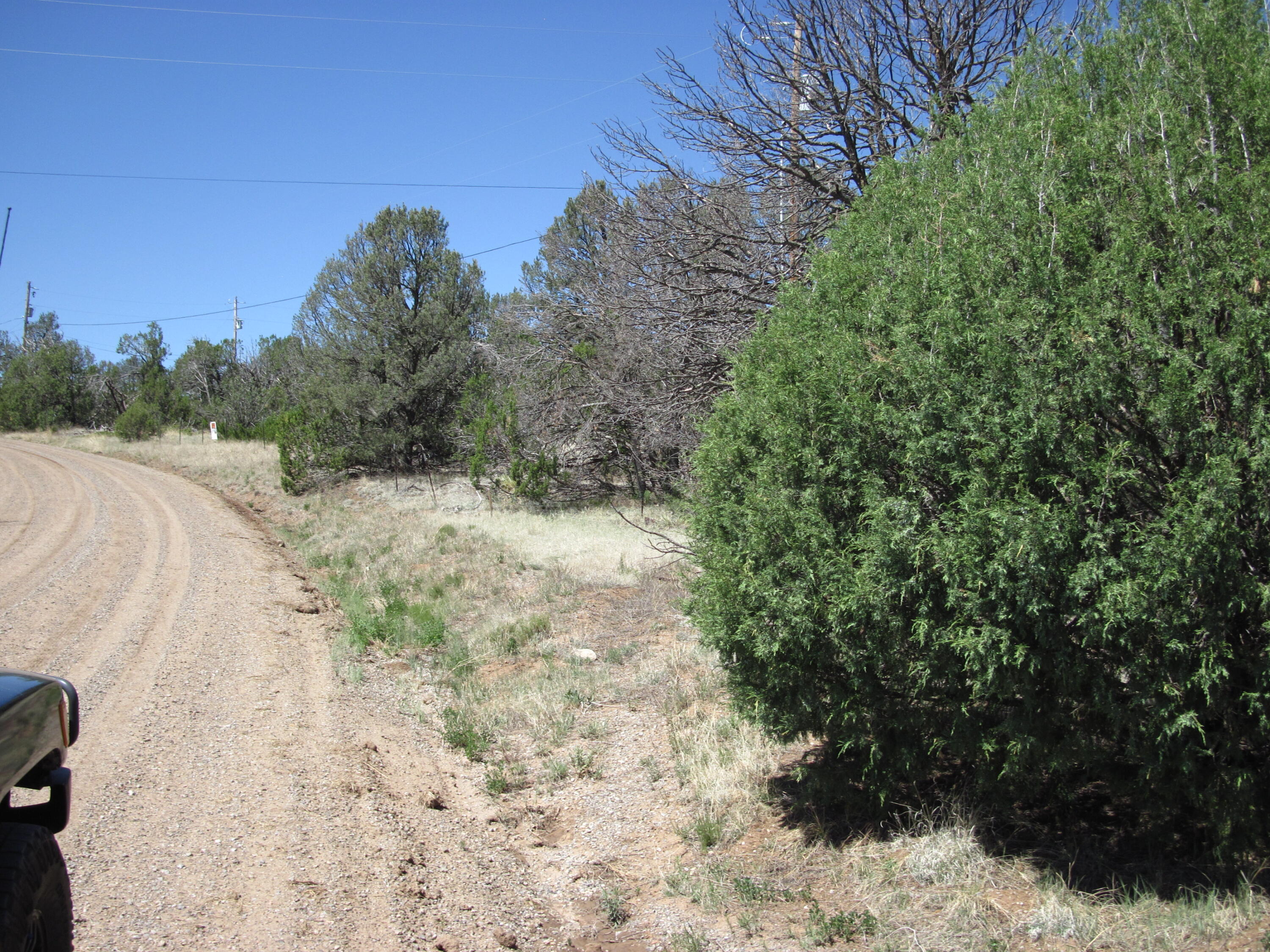 Photo 12 — 152 Jesse James Road