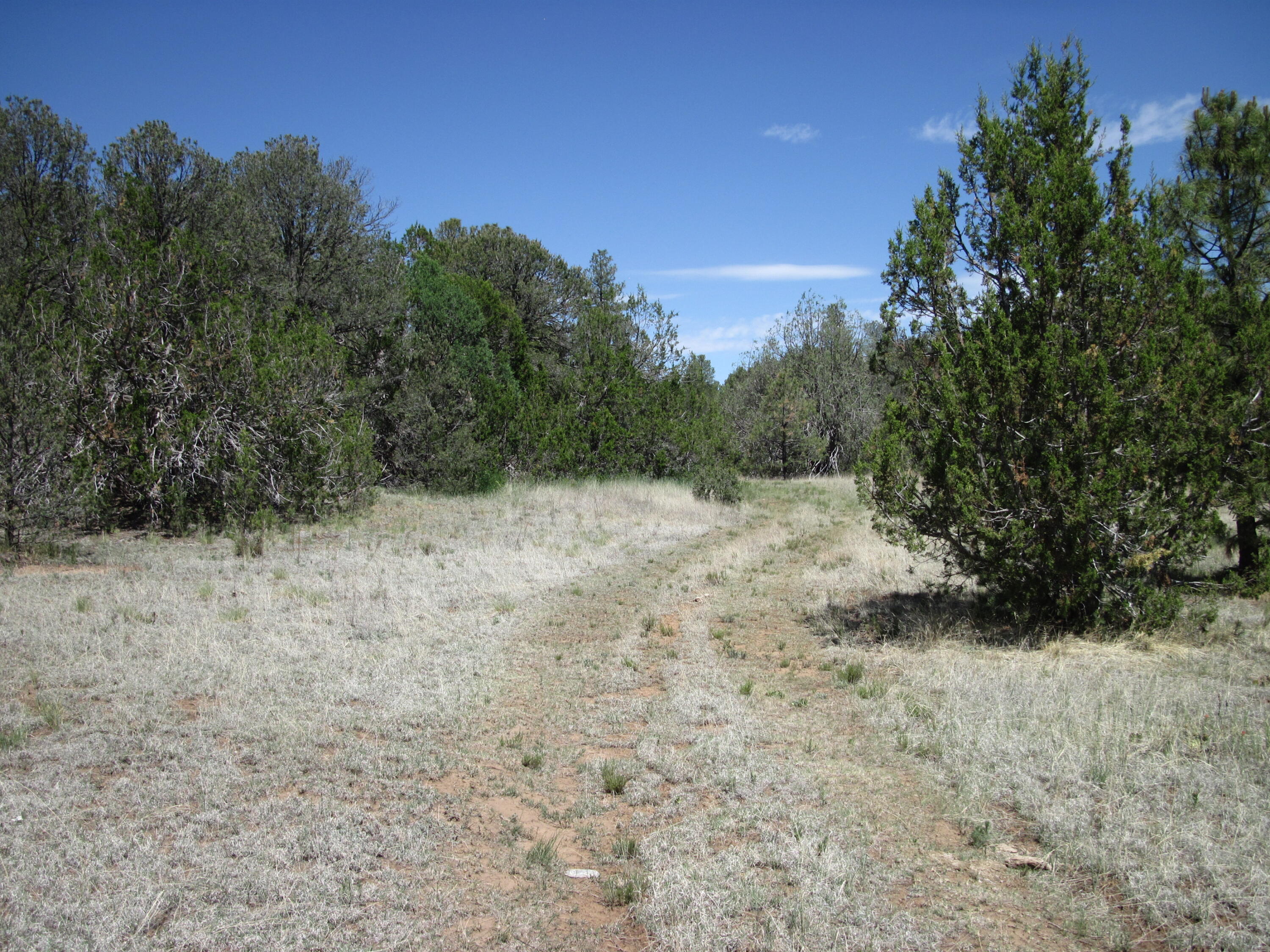 Photo 13 — 152 Jesse James Road