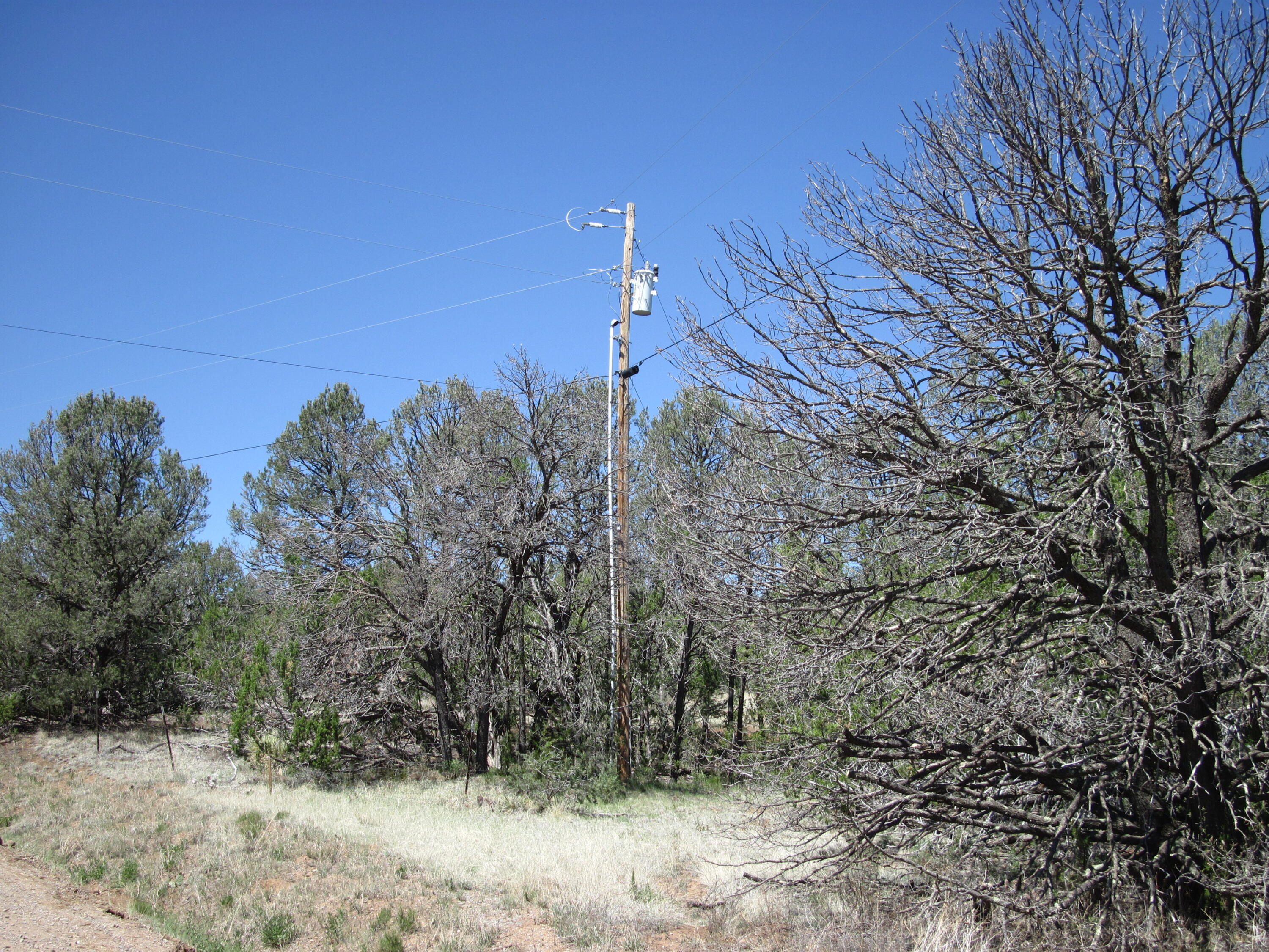 Photo 16 — 152 Jesse James Road