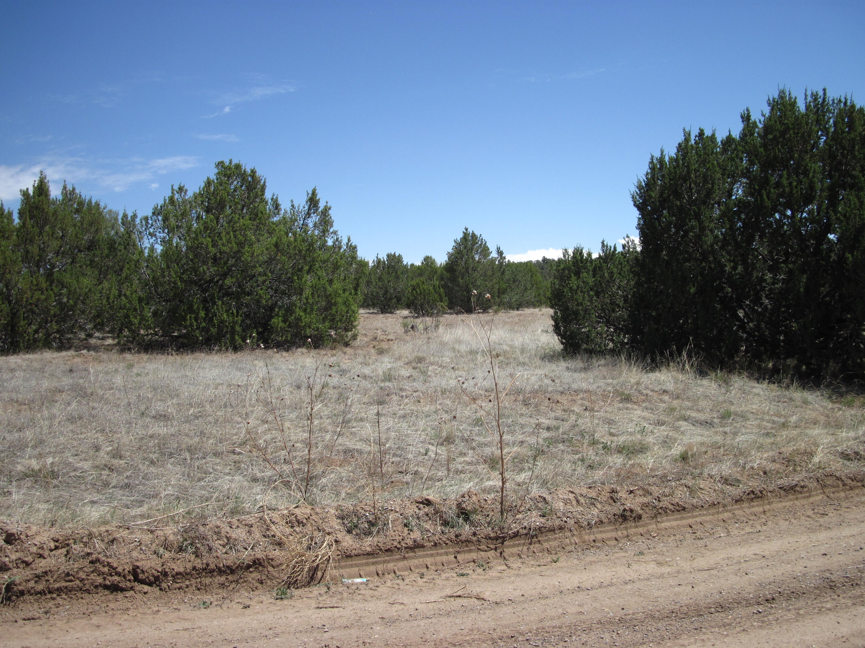 110 Jesse James Road, Edgewood, NM 87015