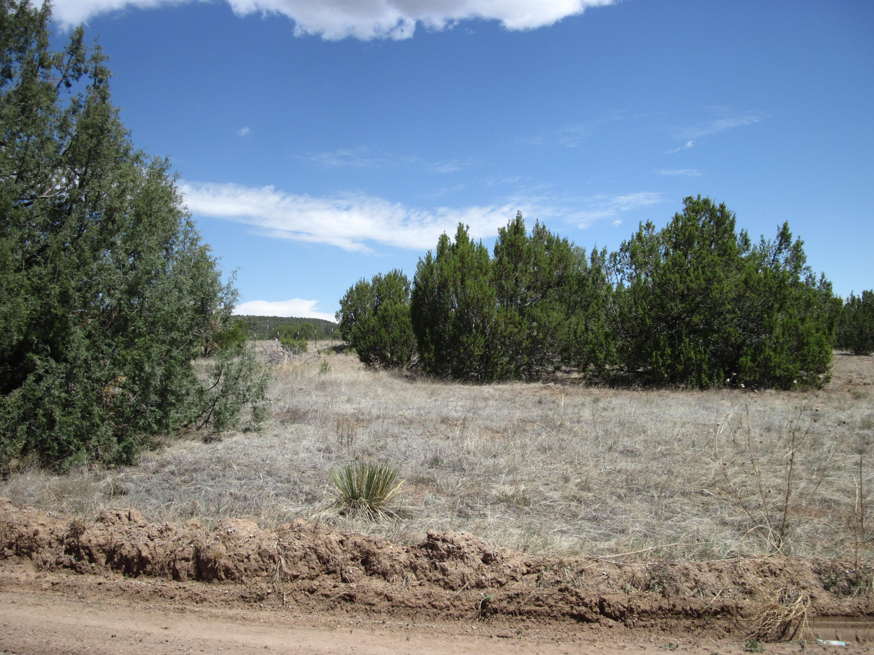Photo 12 — 110 Jesse James Road