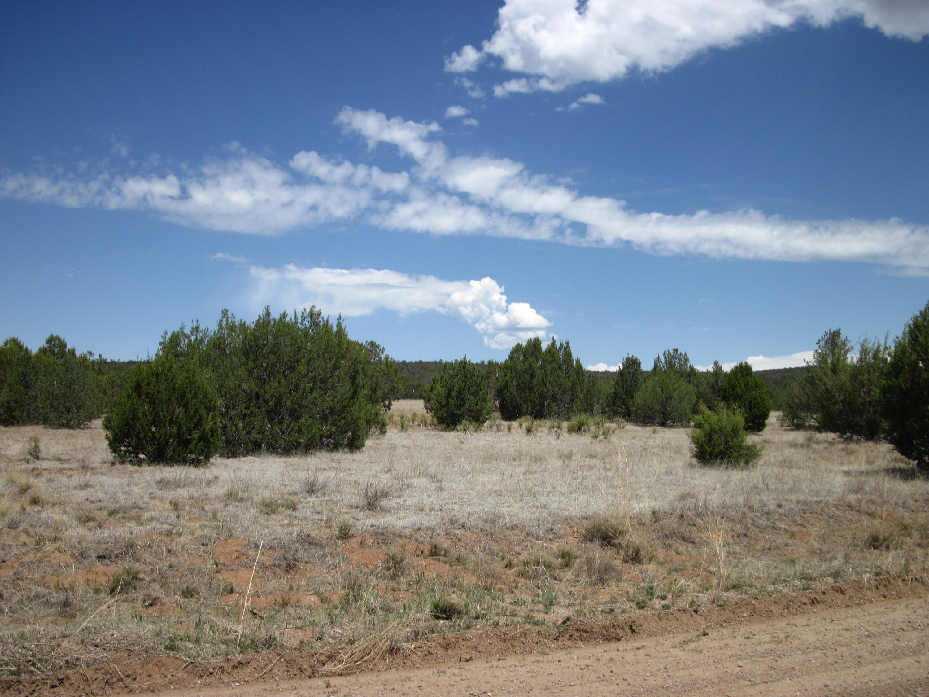 Photo 2 — 110 Jesse James Road