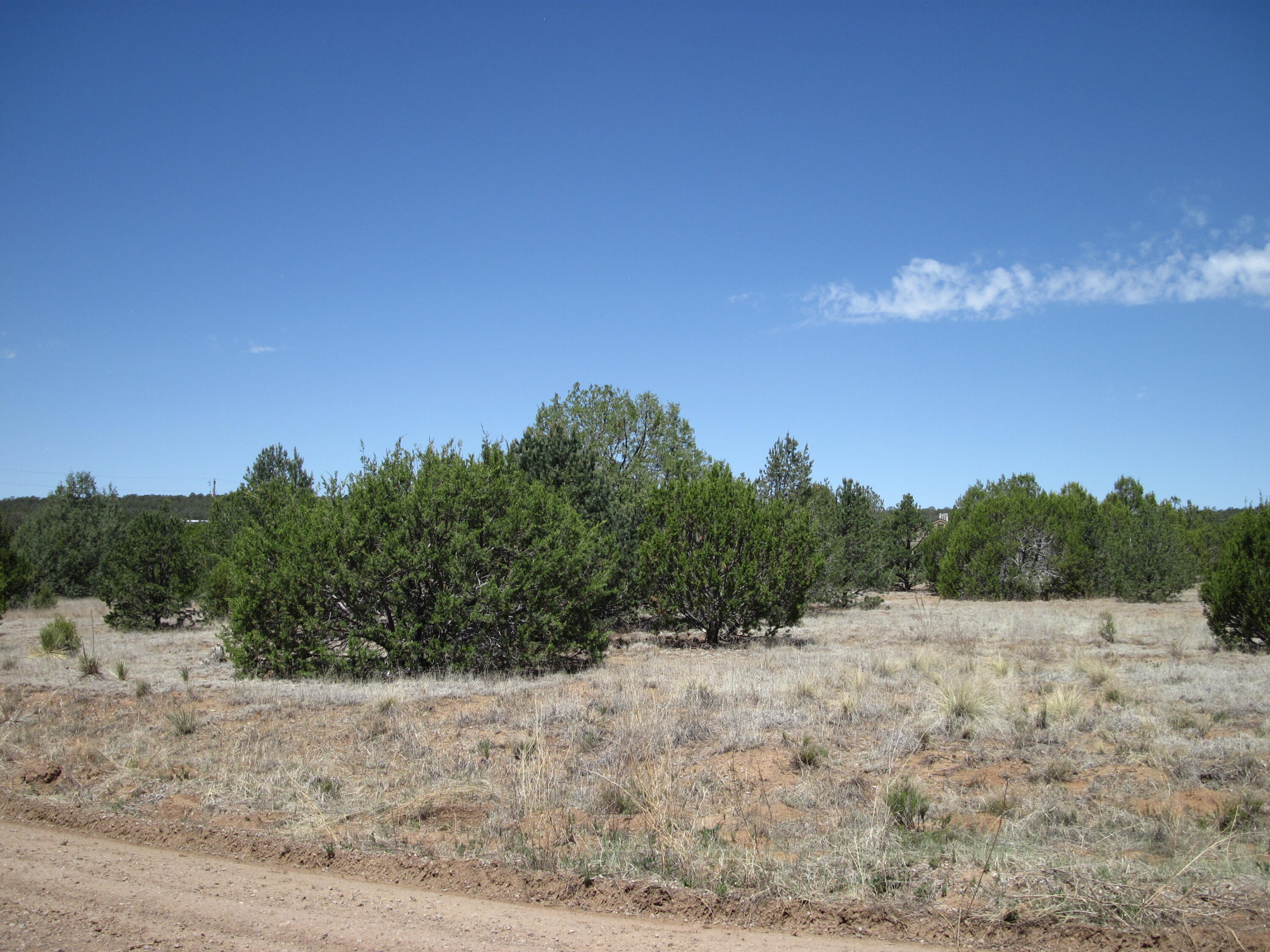 Photo 3 — 110 Jesse James Road