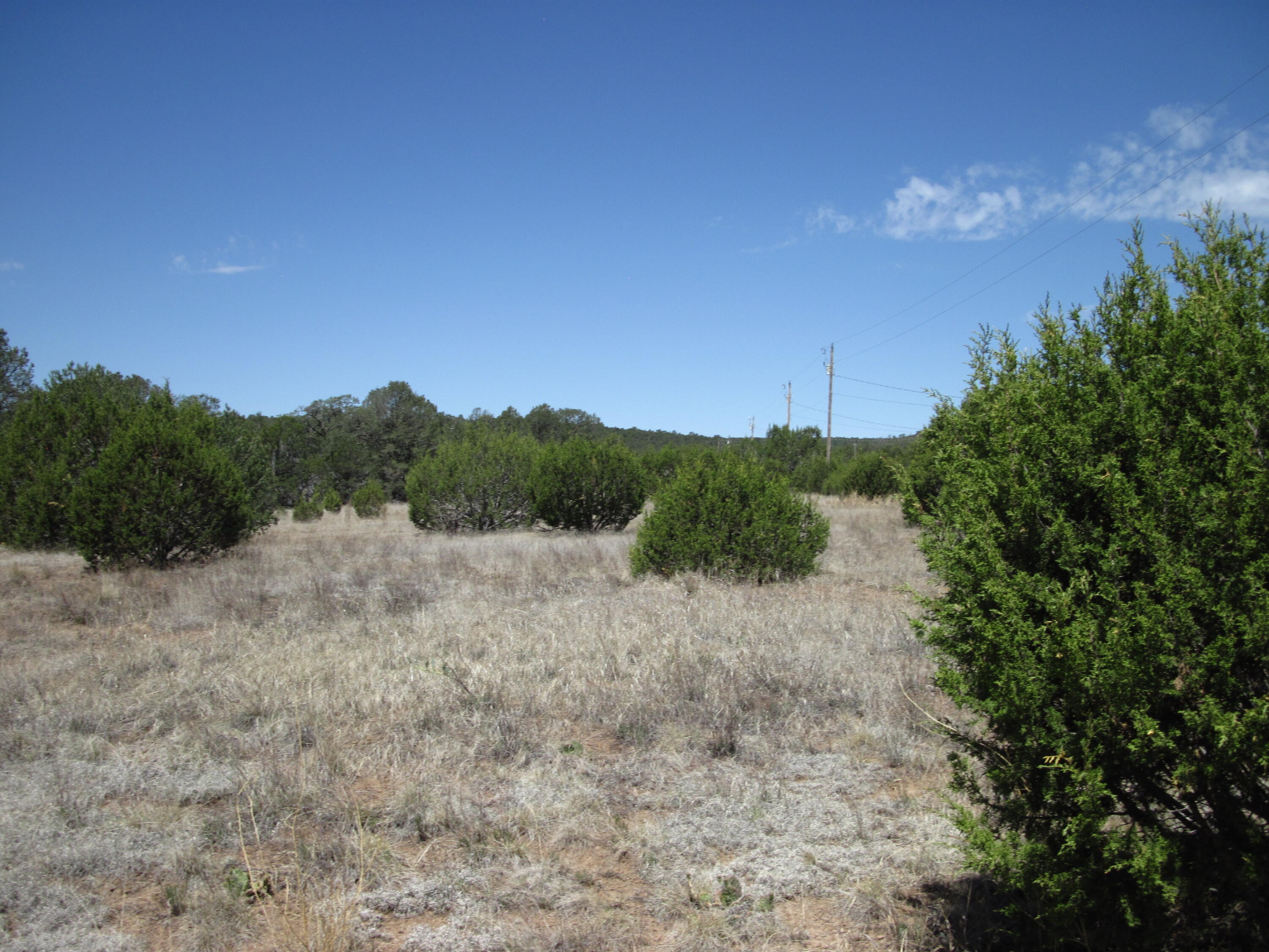 Photo 4 — 110 Jesse James Road