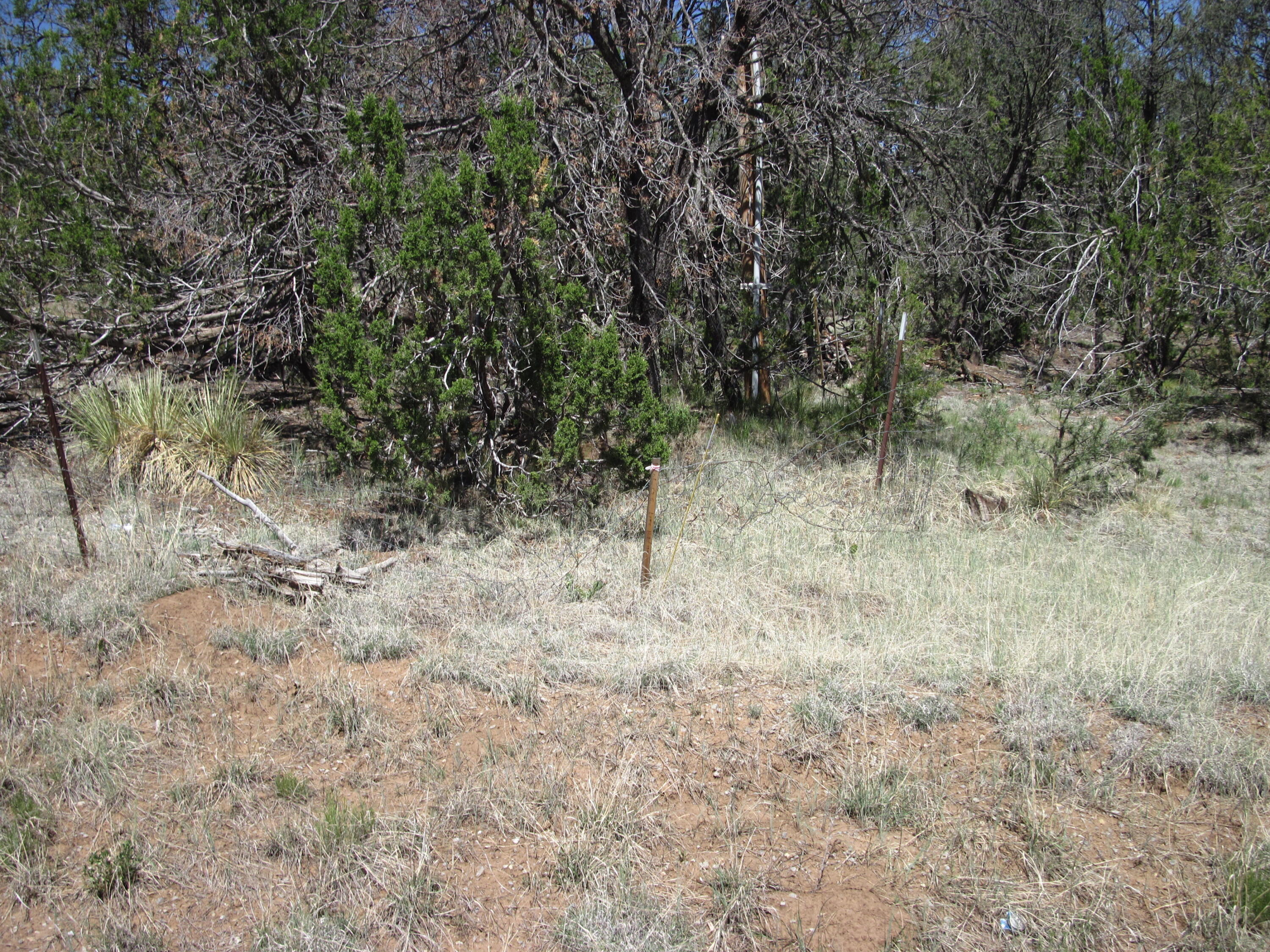 Photo 7 — 110 Jesse James Road