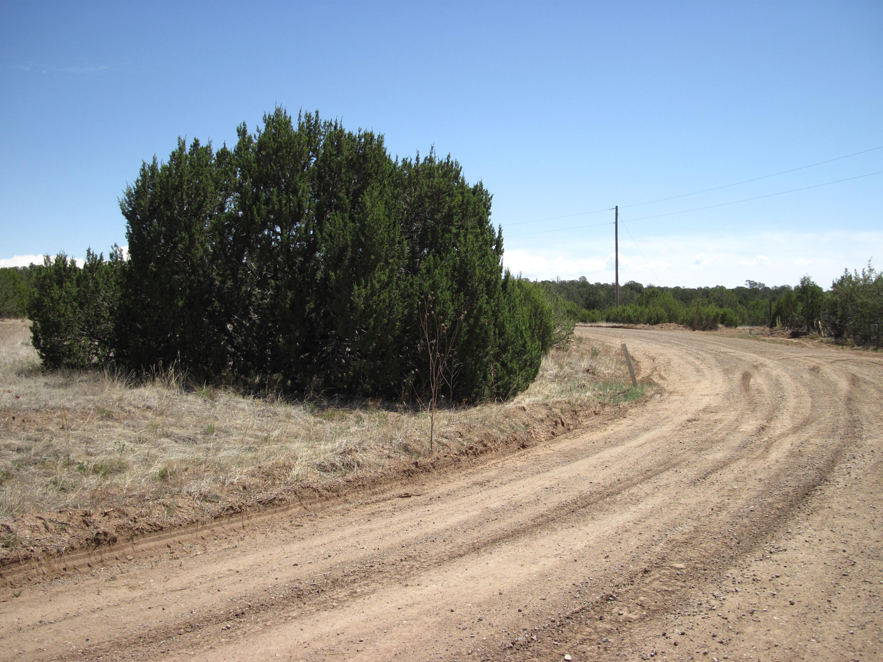 Photo 11 — 110 Jesse James Road