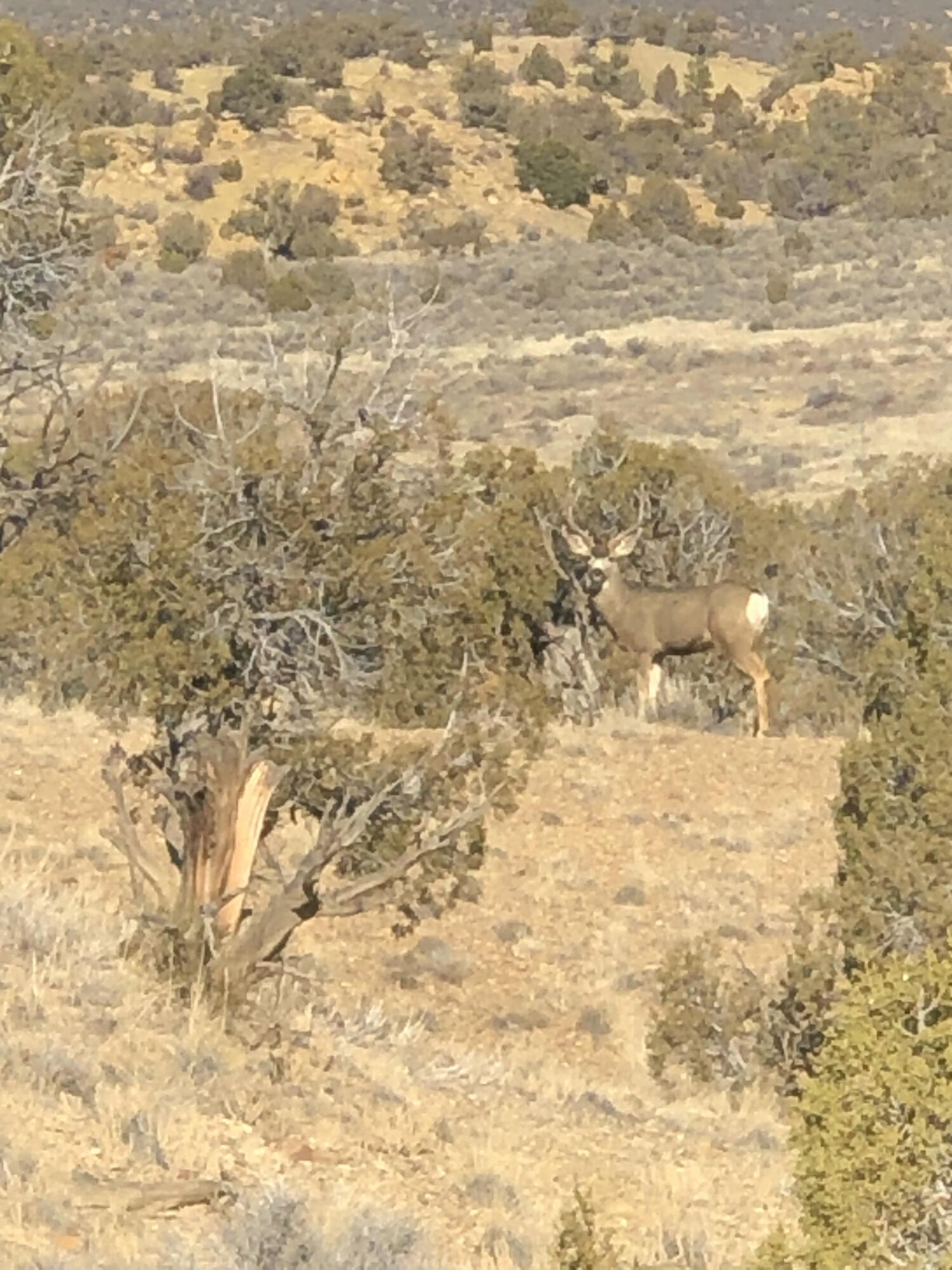 Photo 10 —  Road 1191