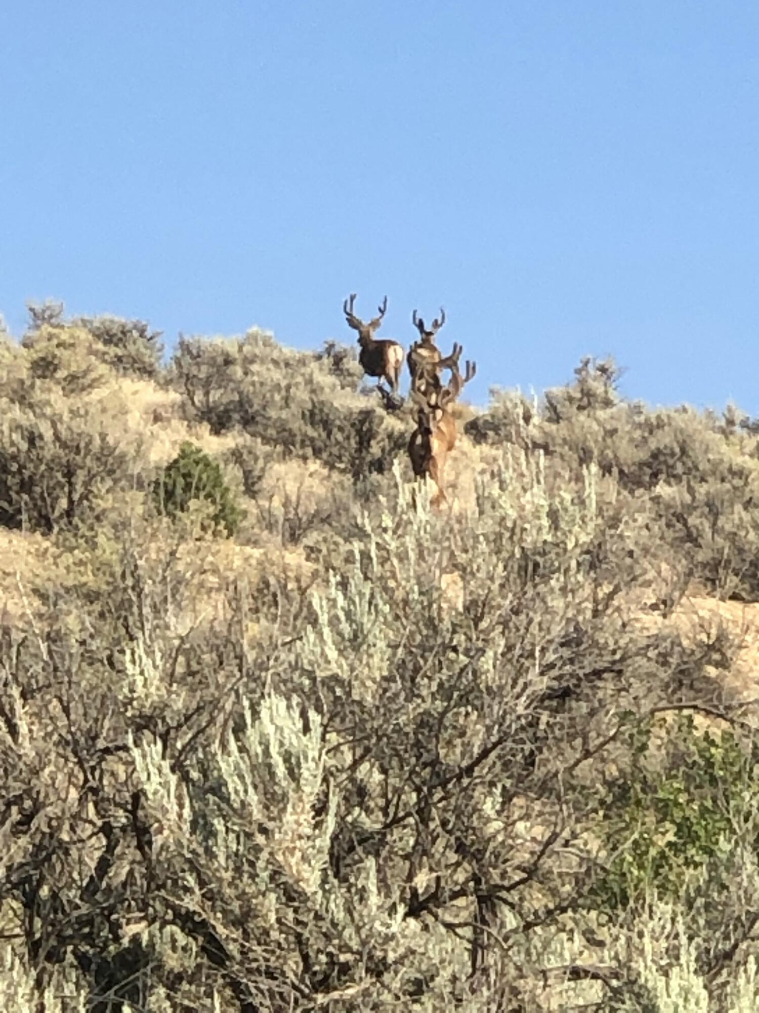Photo 5 —  Road 1191