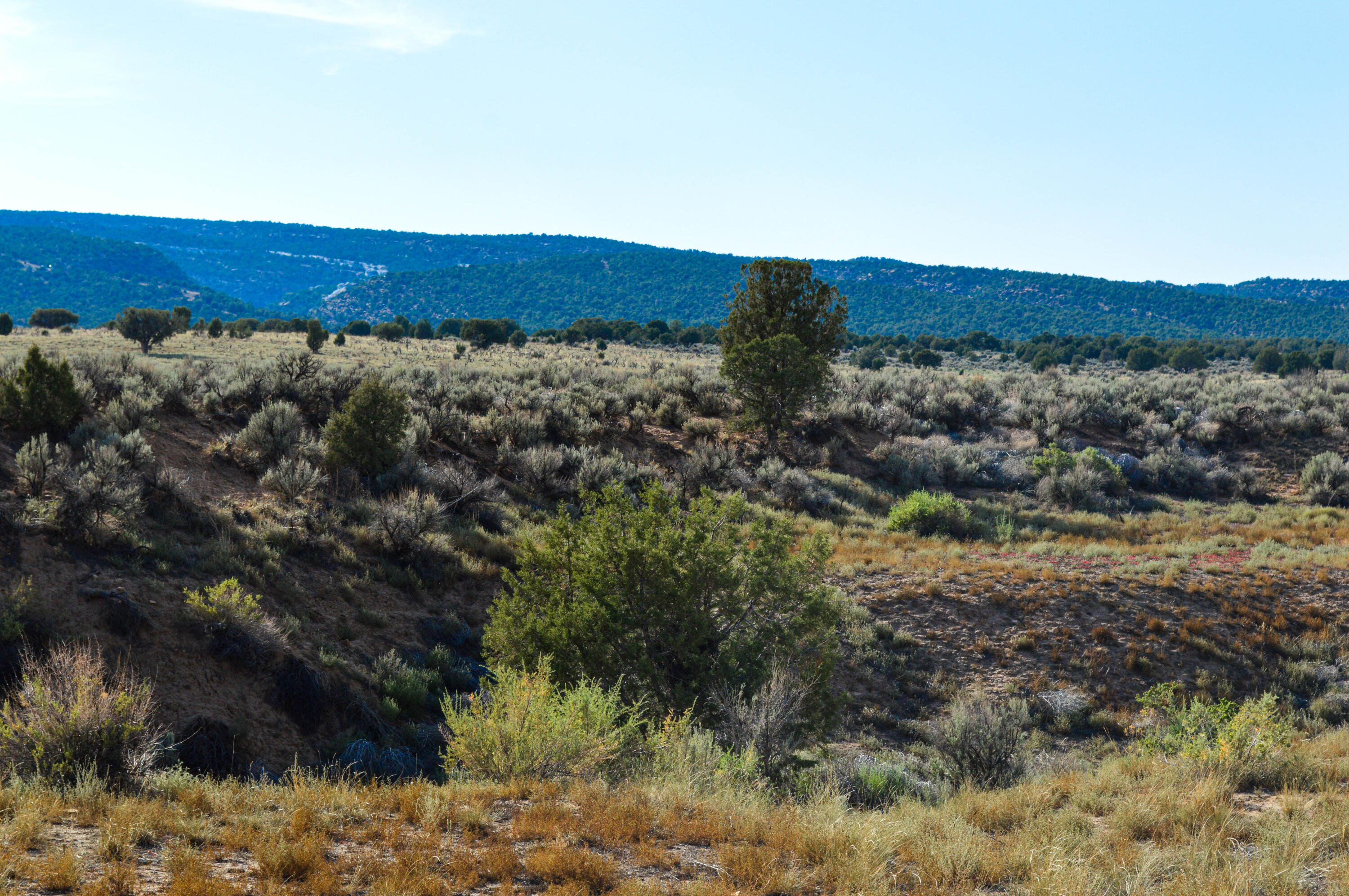 Photo 7 —  Road 1191