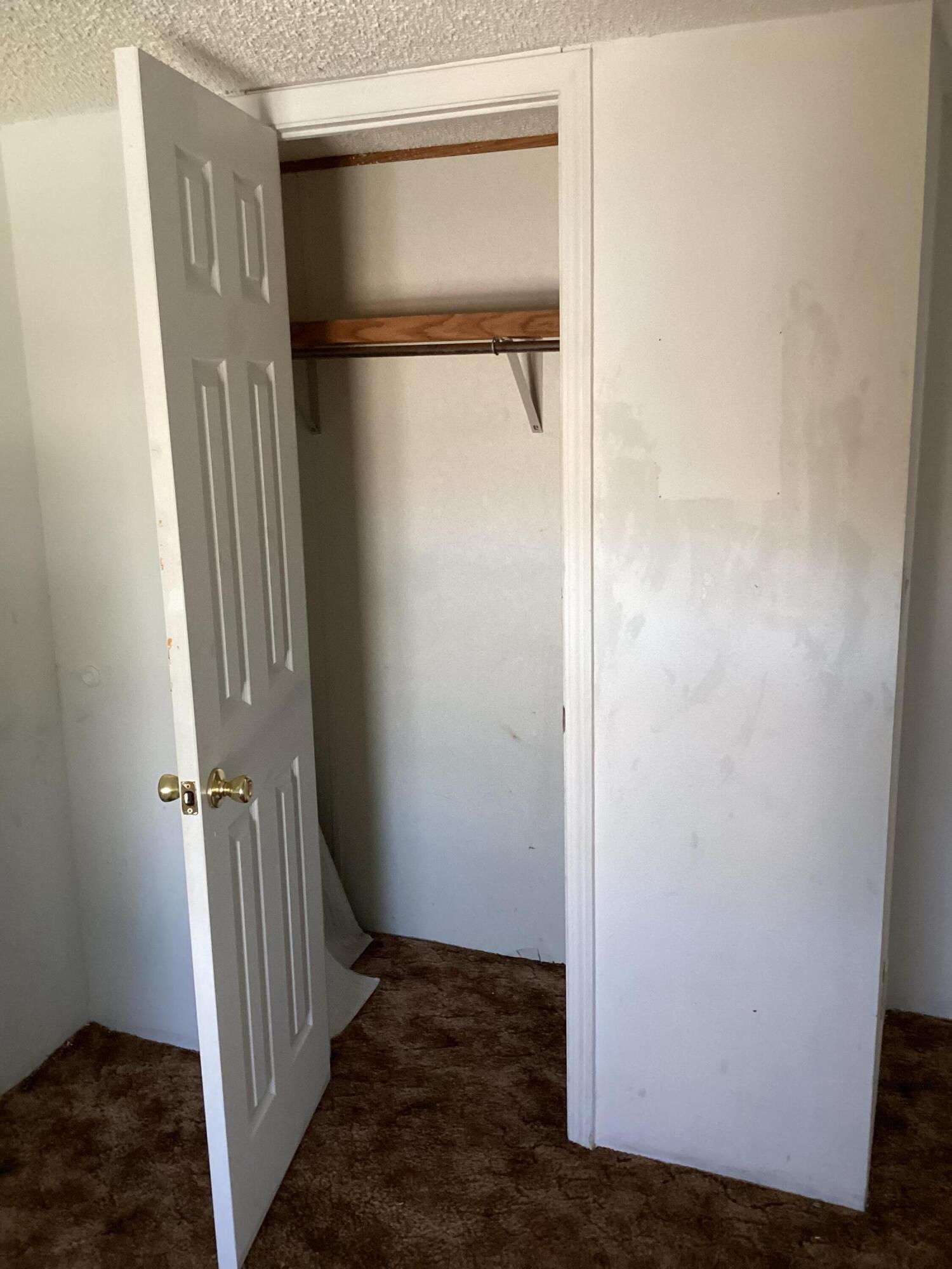 Photo 4 — 5 Douglas Court