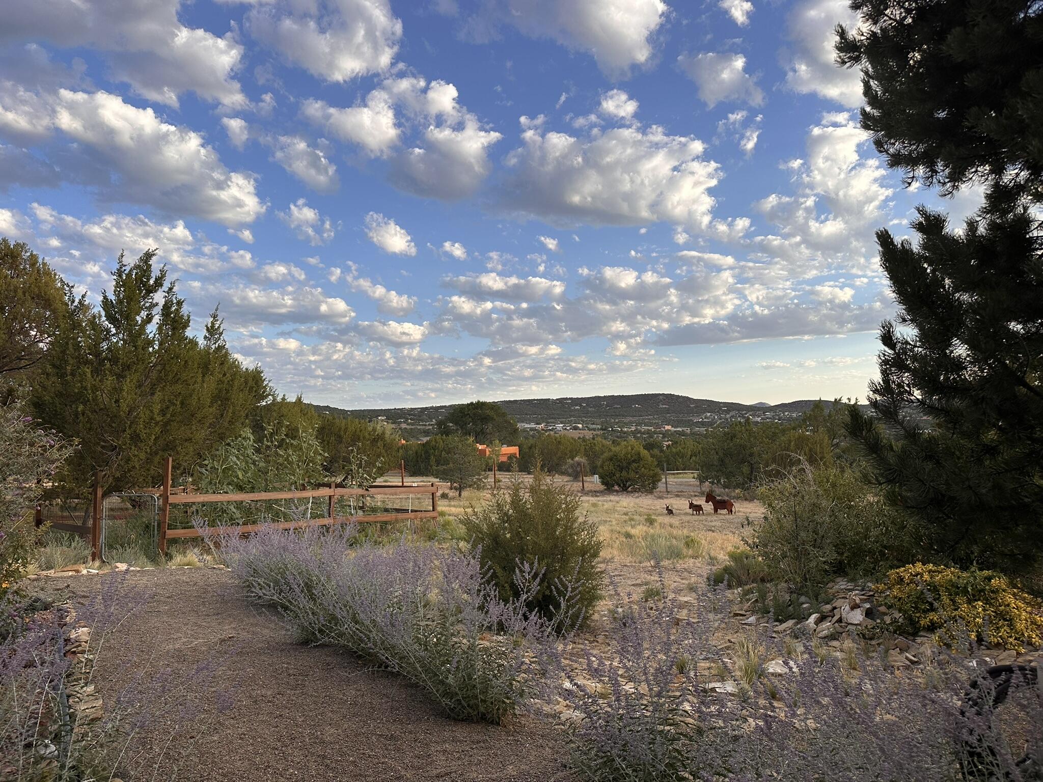 Photo 10 — 62 Anne Pickard Loop
