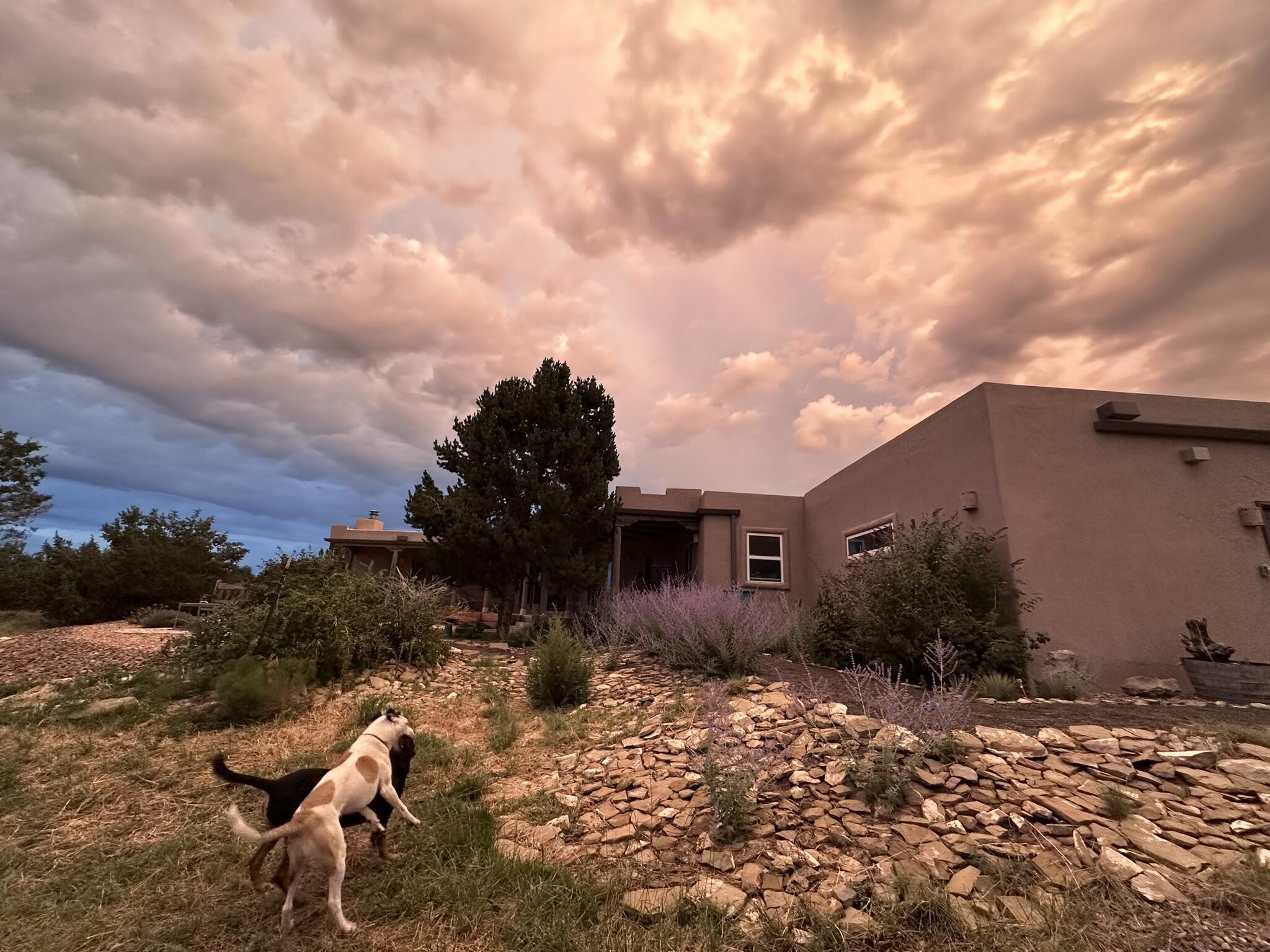 Photo 7 — 62 Anne Pickard Loop