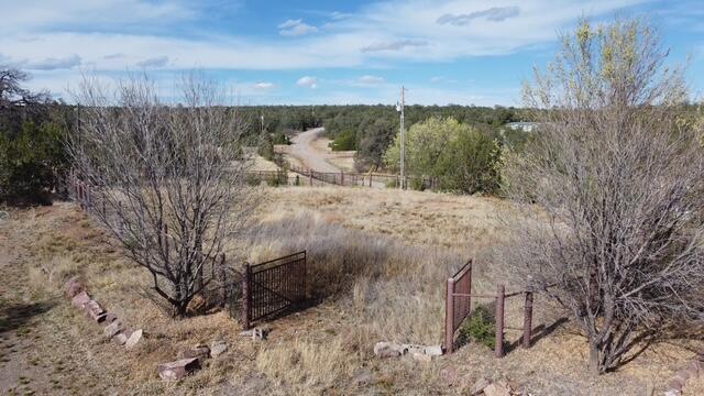 Photo 18 — 82 Jesse James Road