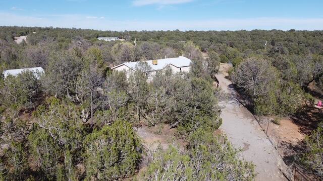 Photo 7 — 82 Jesse James Road
