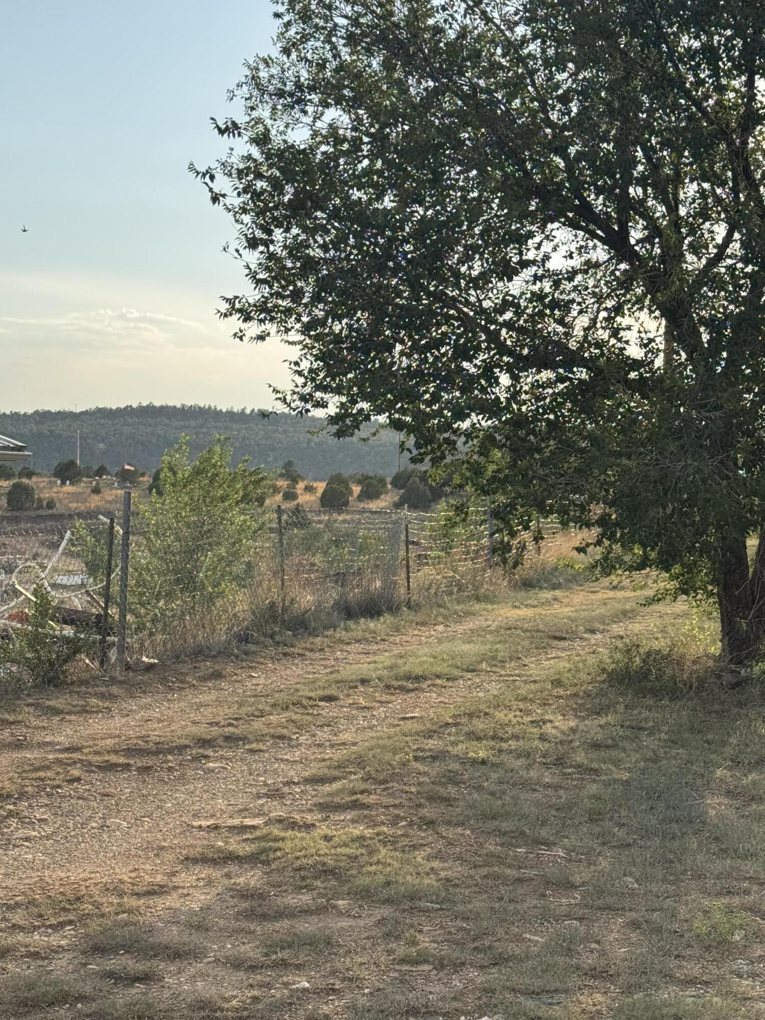Photo 12 — 708 Don Pedro Court