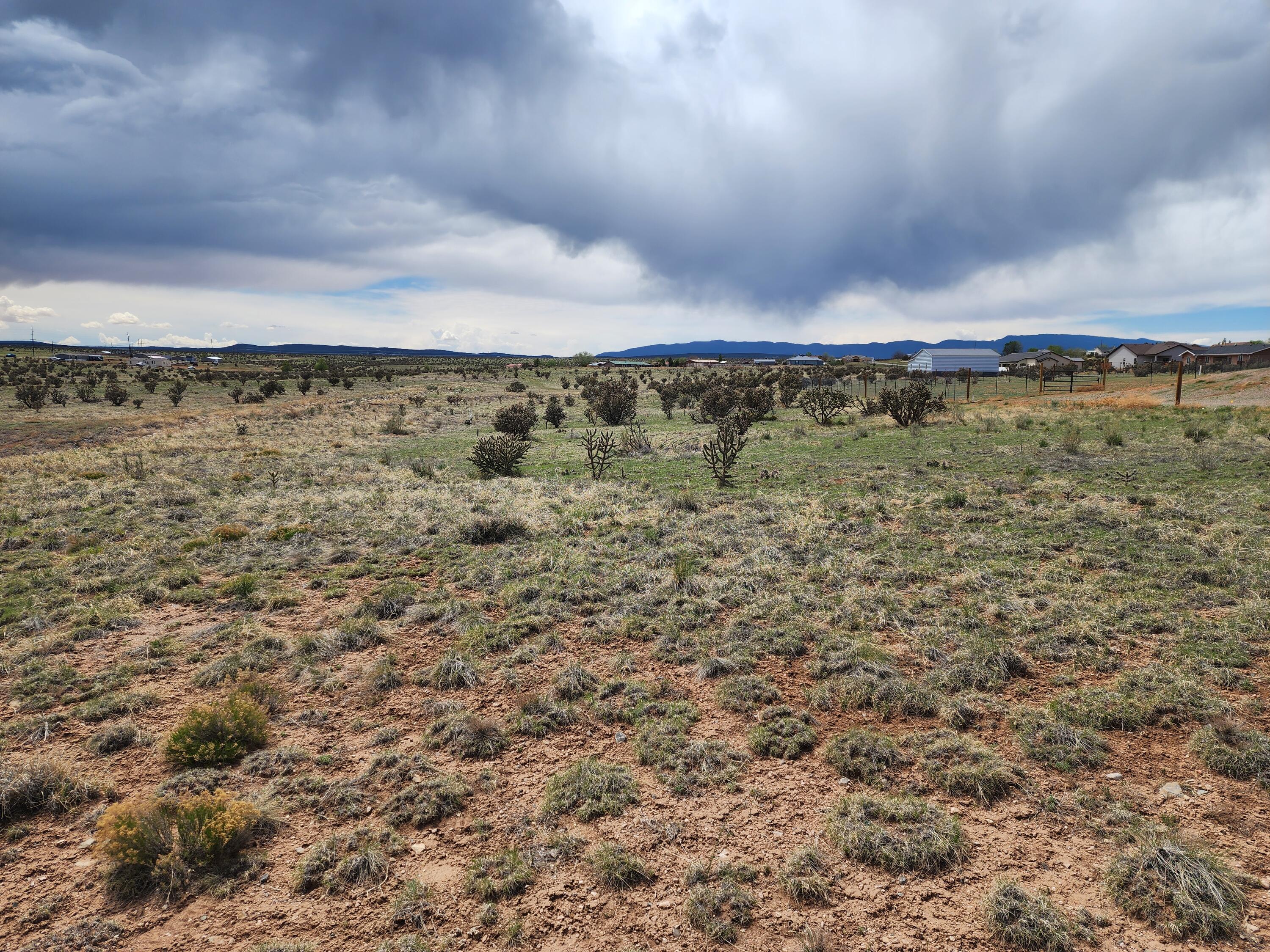 Photo 13 — 104 Evening Star Loop