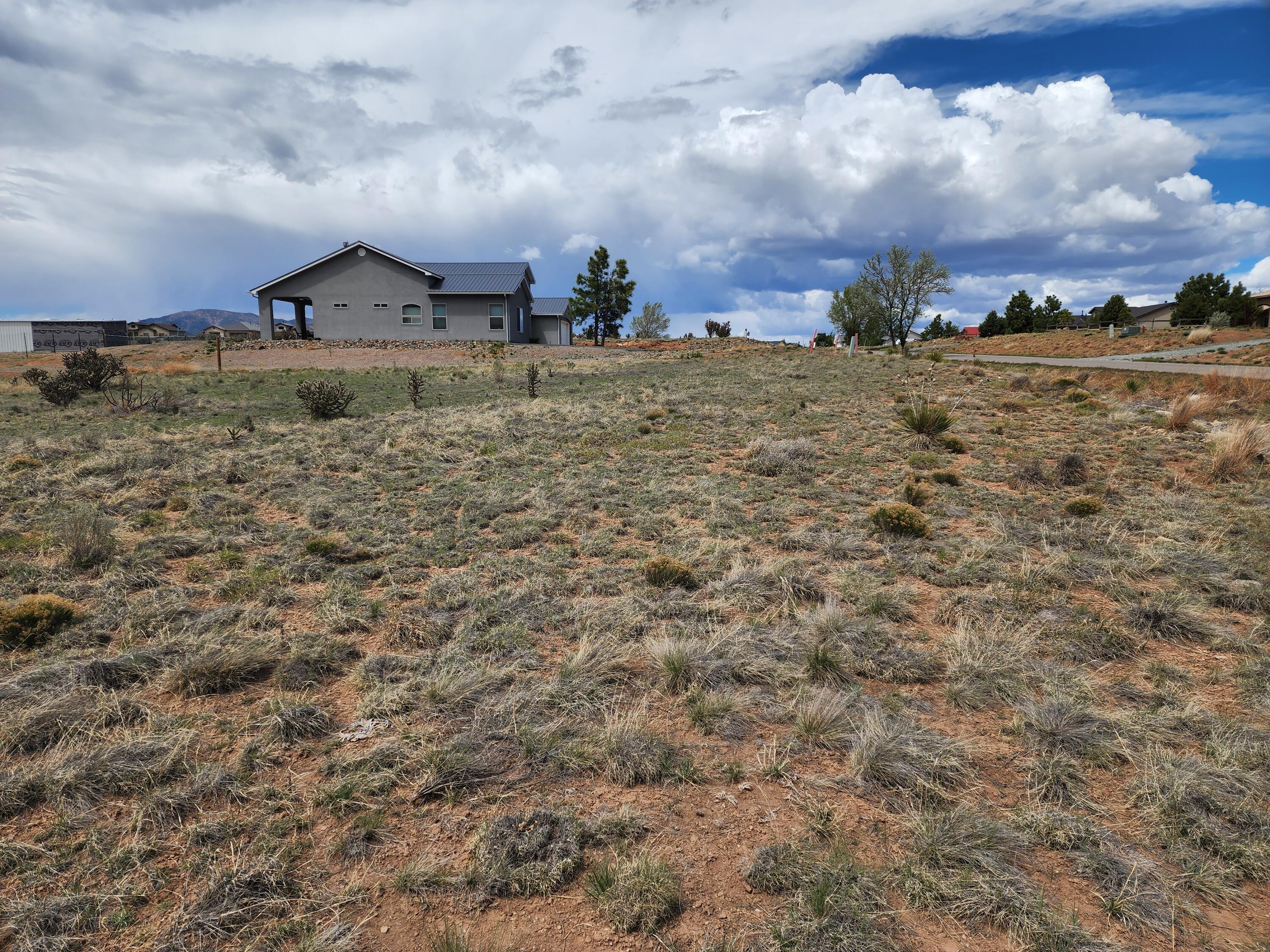 Photo 12 — 104 Evening Star Loop
