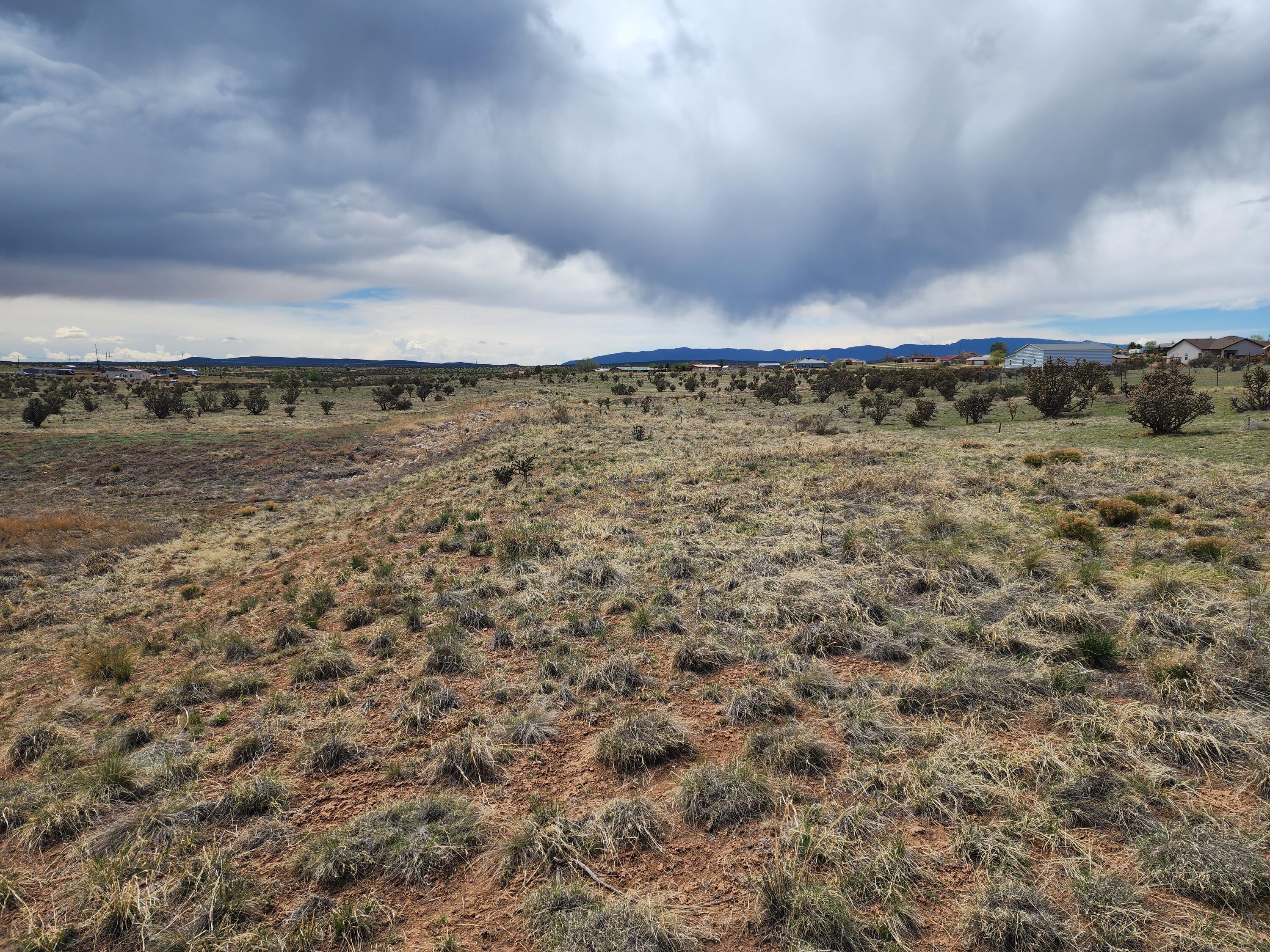 Photo 11 — 104 Evening Star Loop