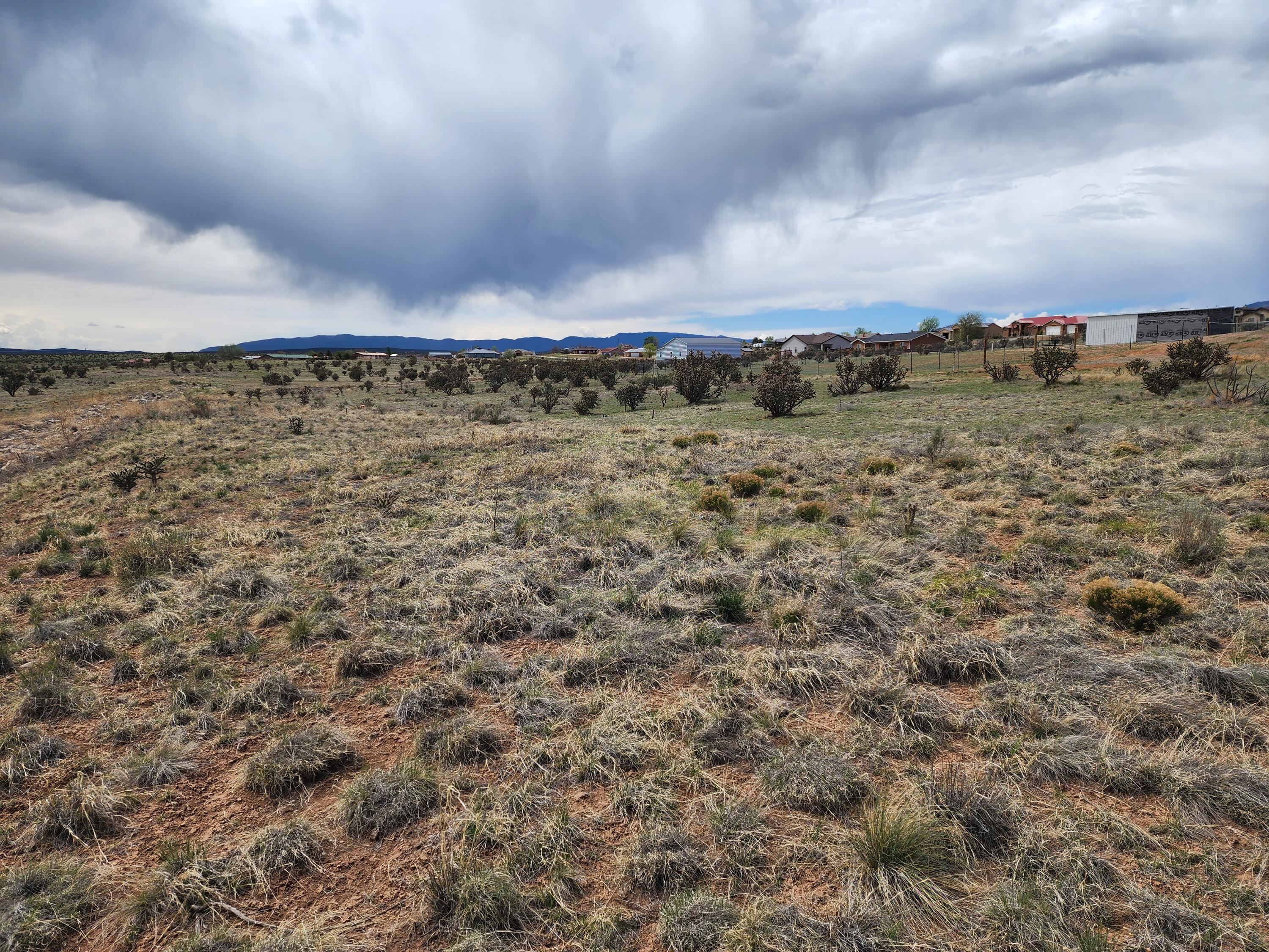 Photo 10 — 104 Evening Star Loop