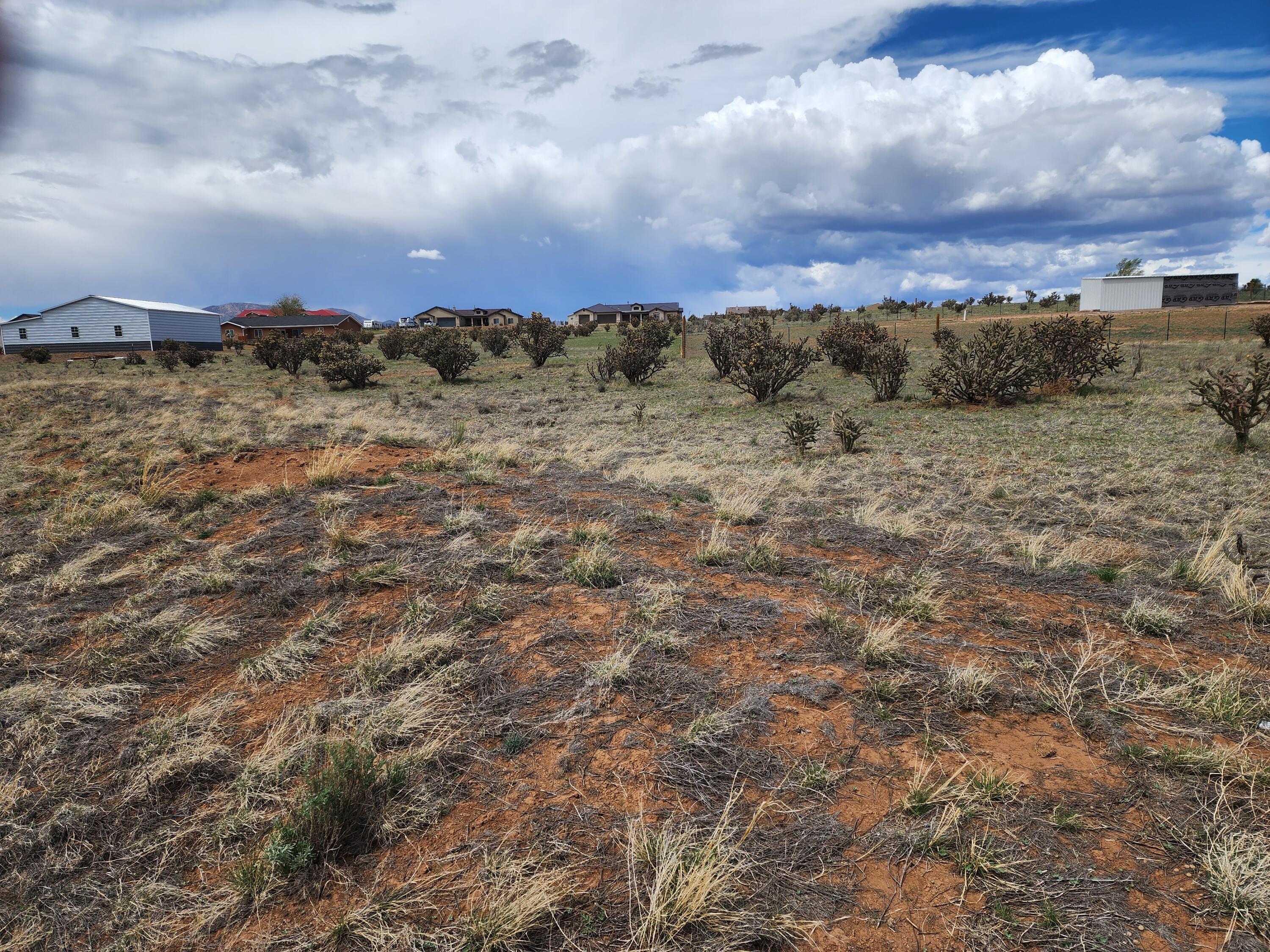 Photo 9 — 104 Evening Star Loop