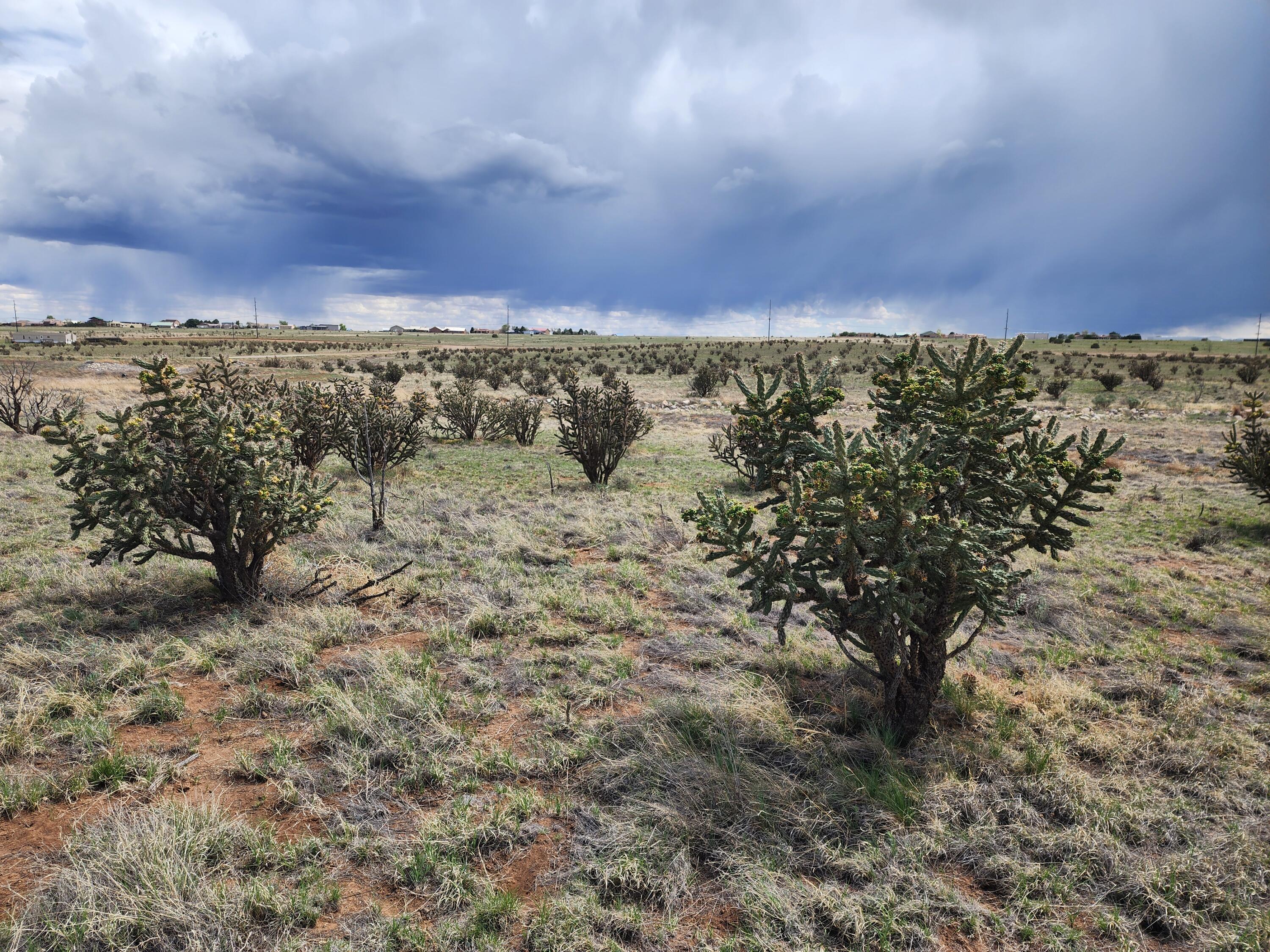 Photo 6 — 104 Evening Star Loop