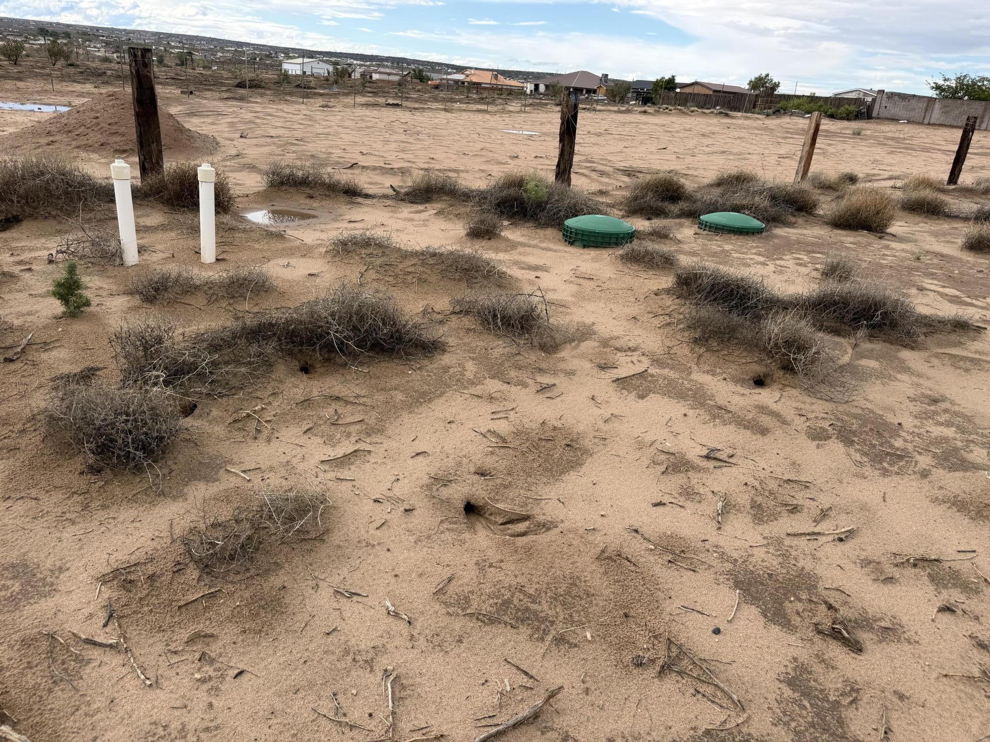 Photo 7 —  Lot 78 11th Avenue SW