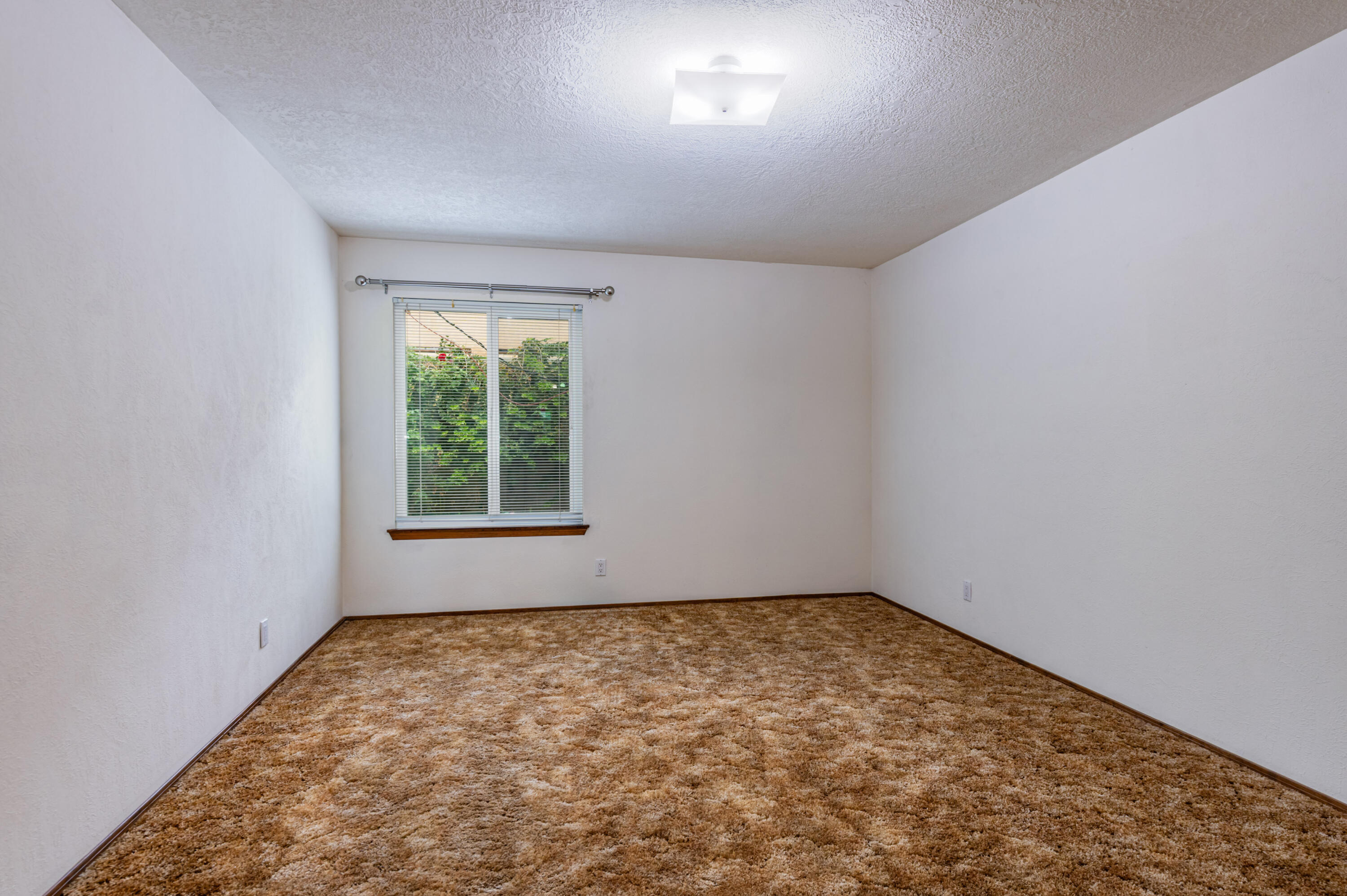Photo 2 — 13109 Summer Place NE