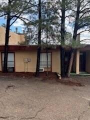 102 Thunder Mountain Court, Alto, NM 88312
