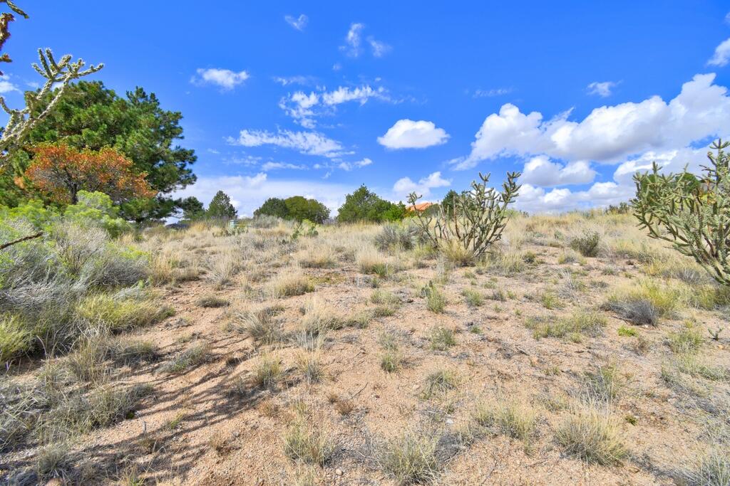 Photo 7 — 1562 Eagle Ridge Court NE