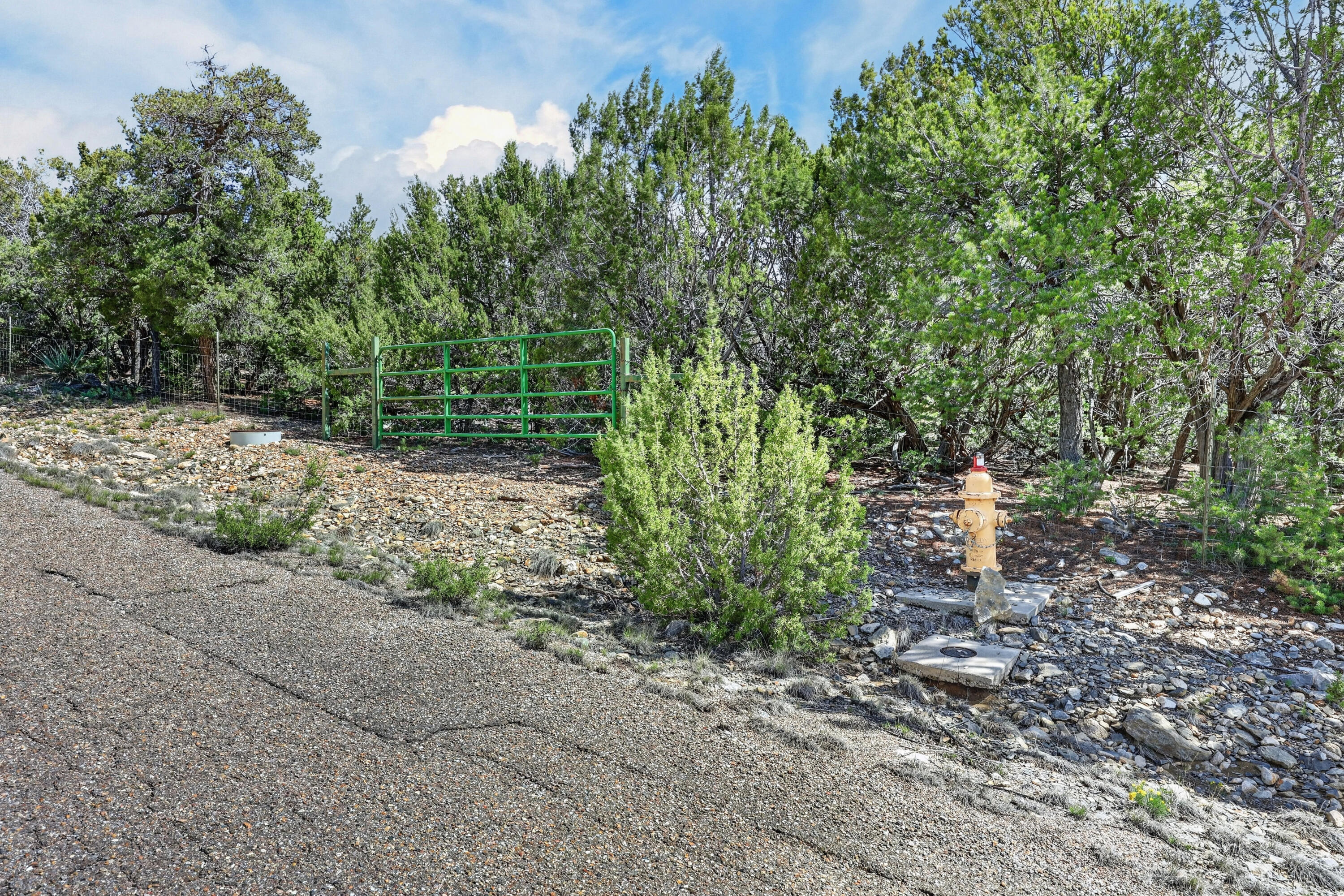 Photo 12 — 36 Alta Vista Road