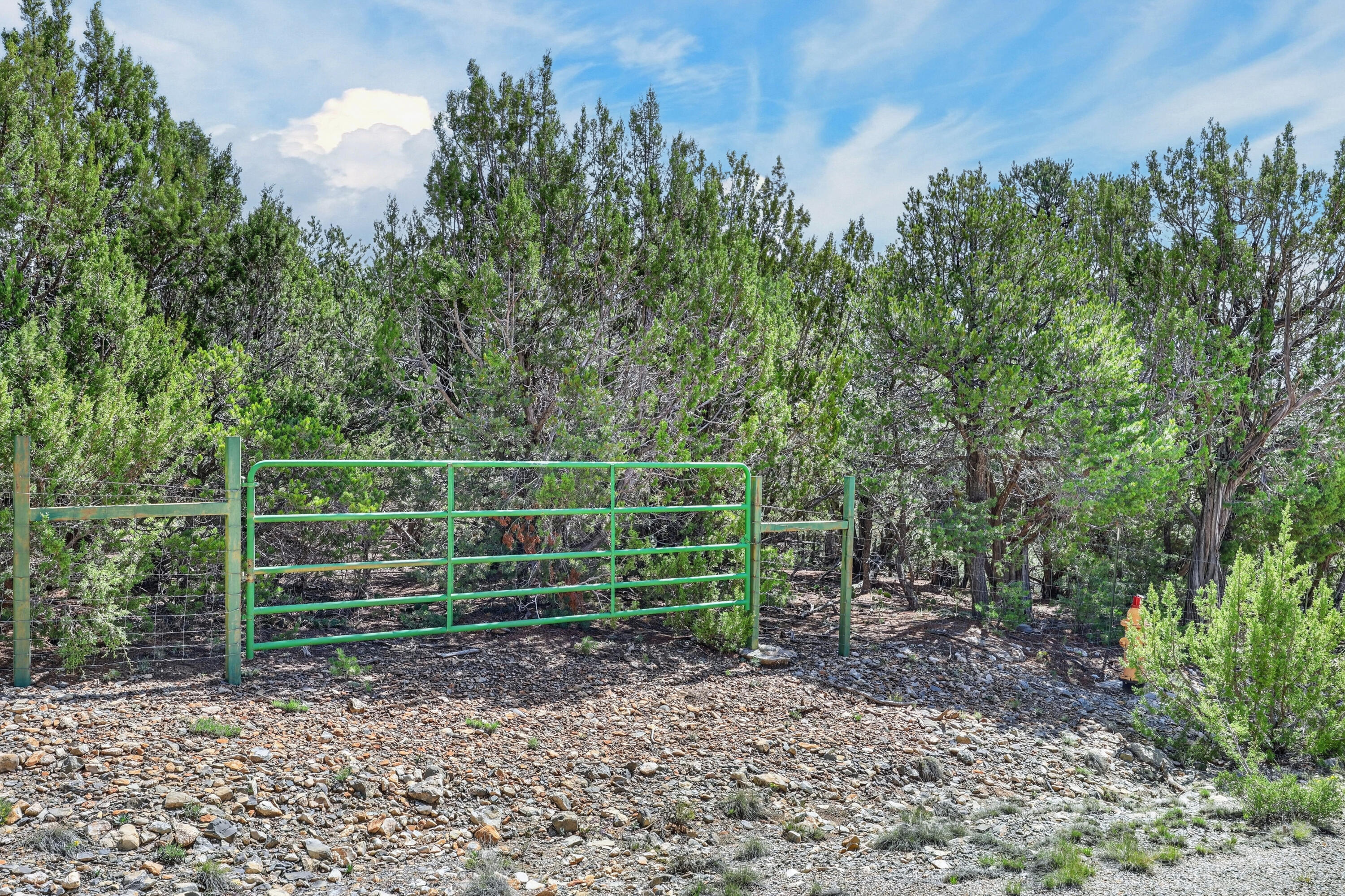 Photo 10 — 36 Alta Vista Road