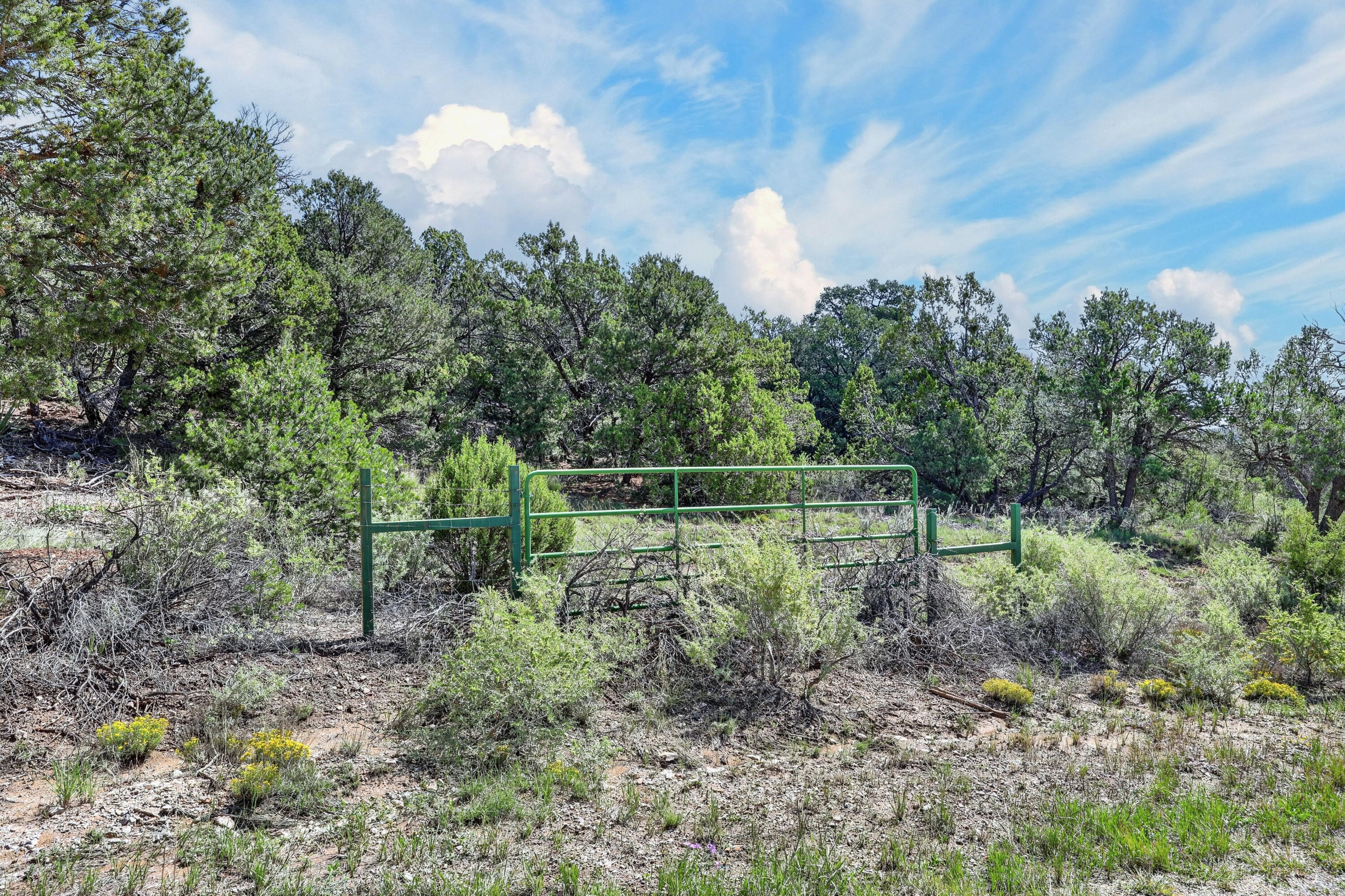 Photo 9 — 36 Alta Vista Road