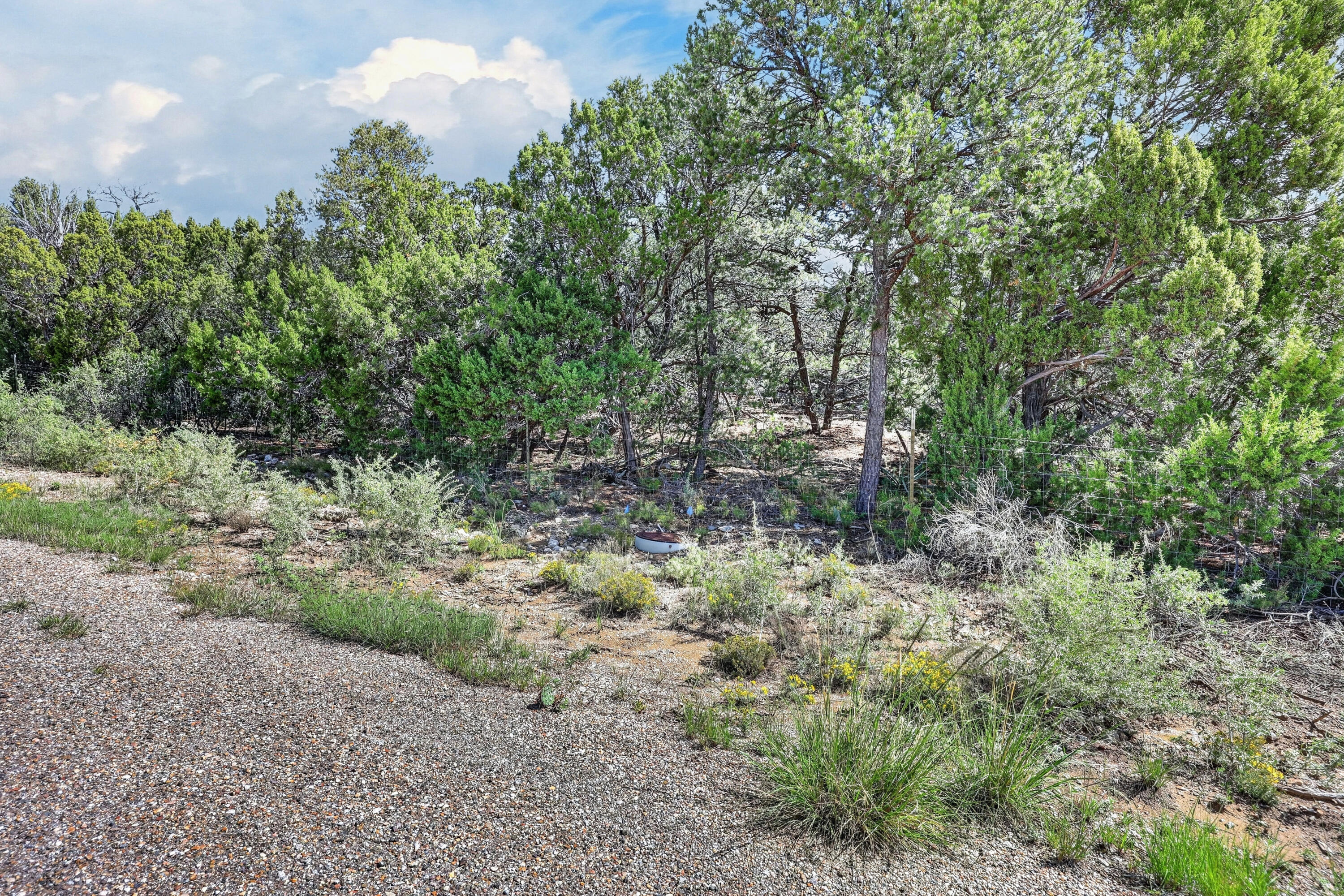 Photo 5 — 40 Alta Vista Road