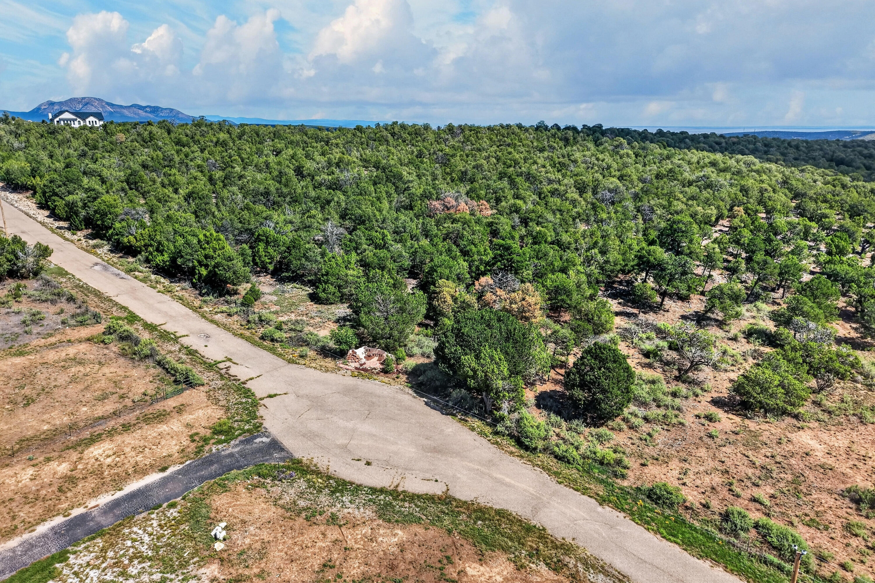 Photo 11 — 40 Alta Vista Road