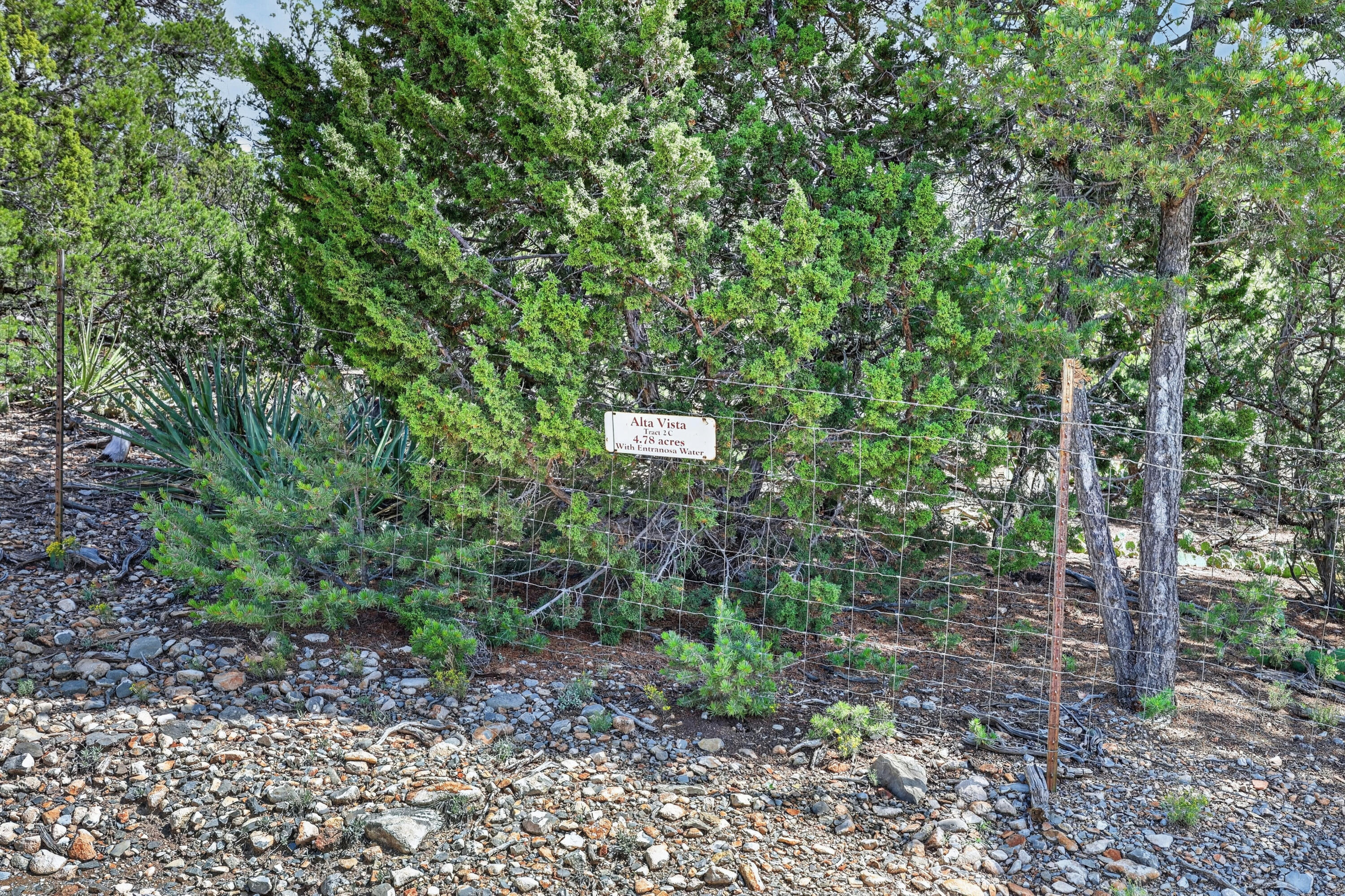 Photo 6 — 40 Alta Vista Road