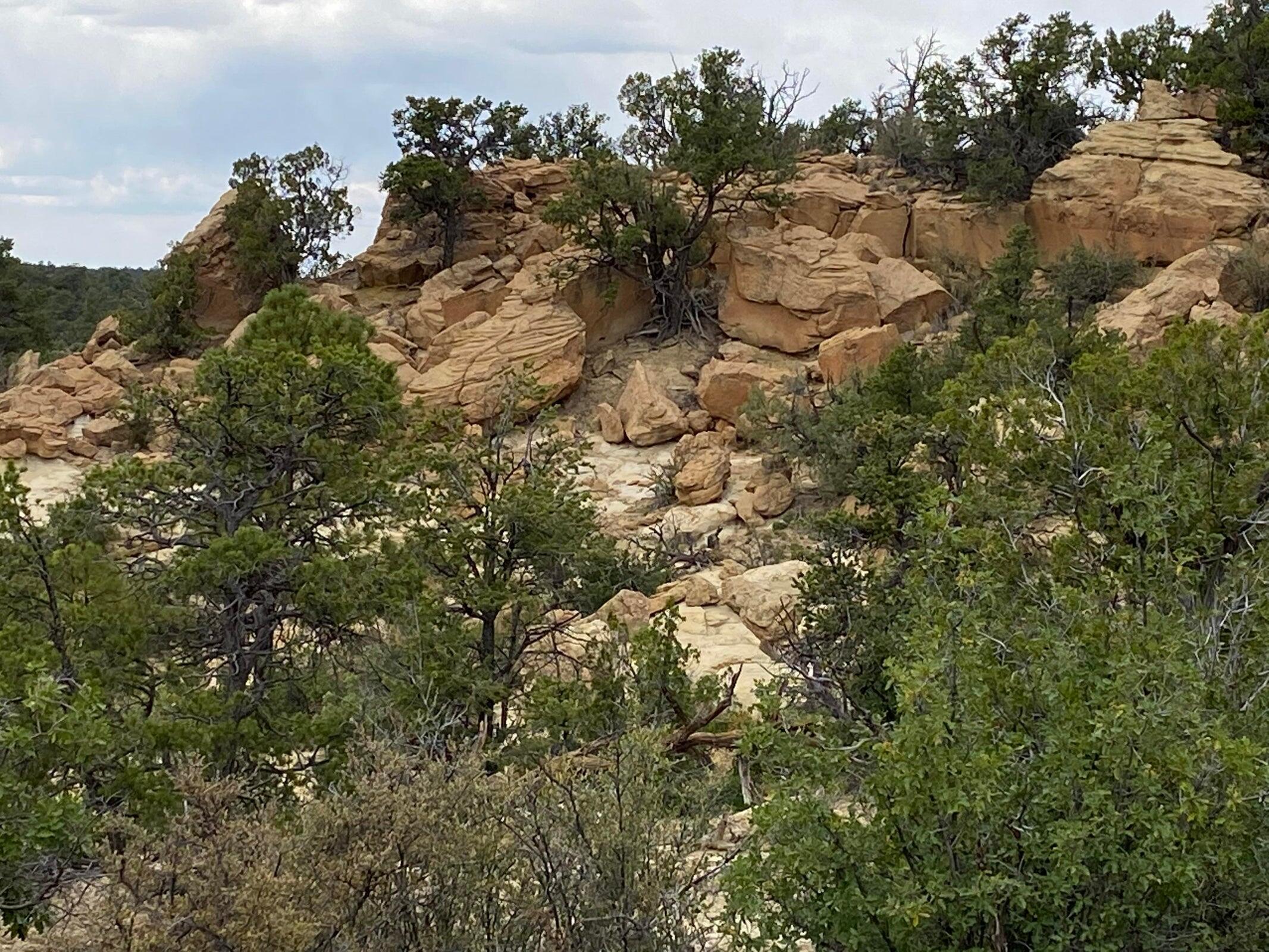 Lots 10-11 Old Well Road, Ramah, NM 87321