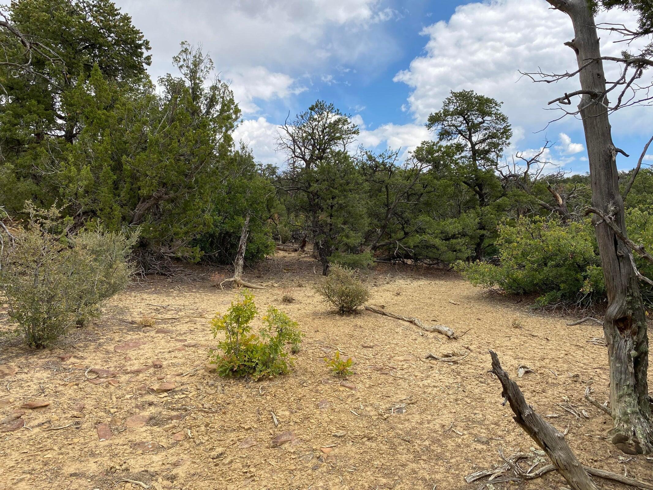Photo 8 — Lots 10-11 Old Well Road