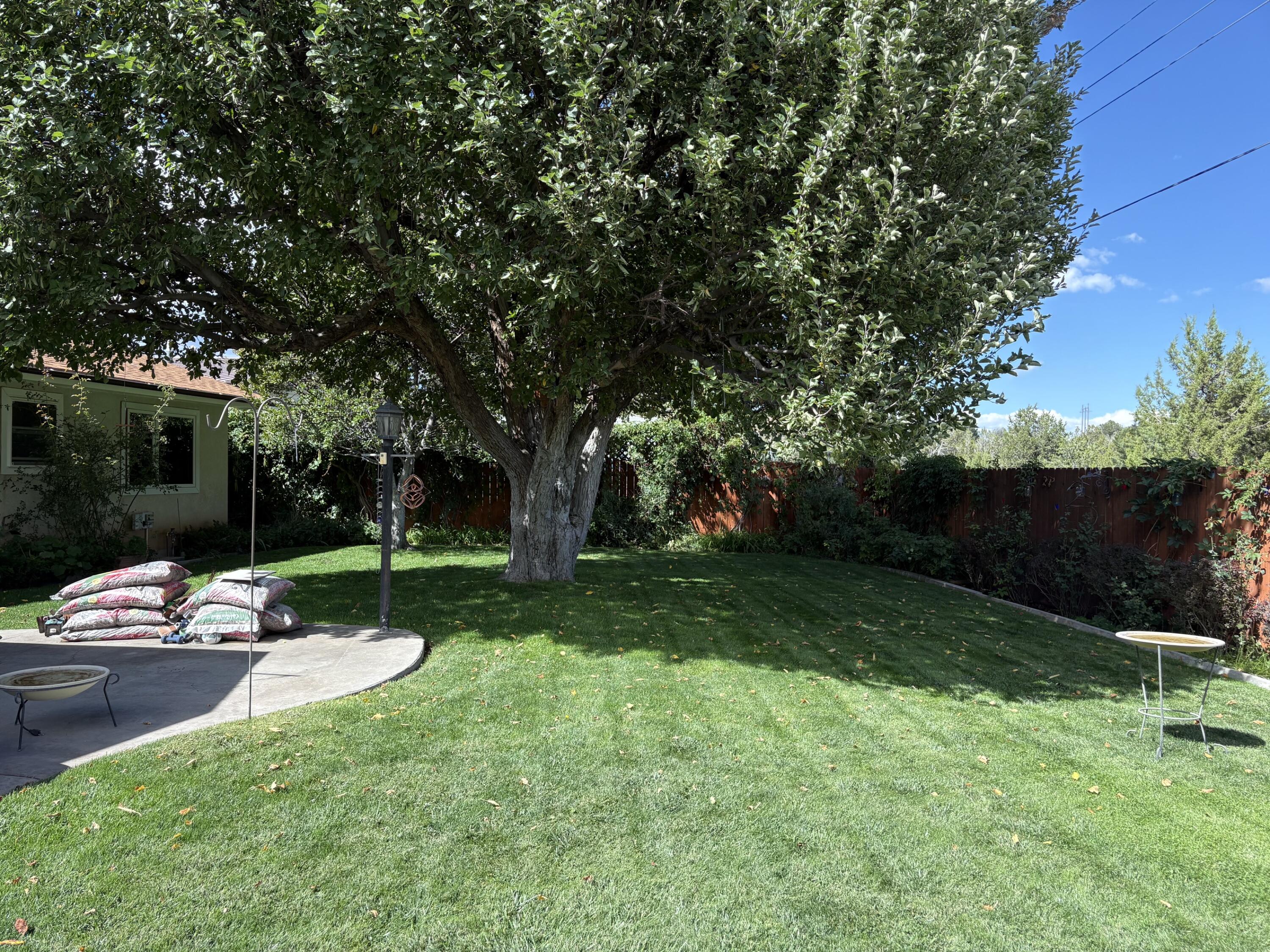 Photo 7 — 88 Granada Drive