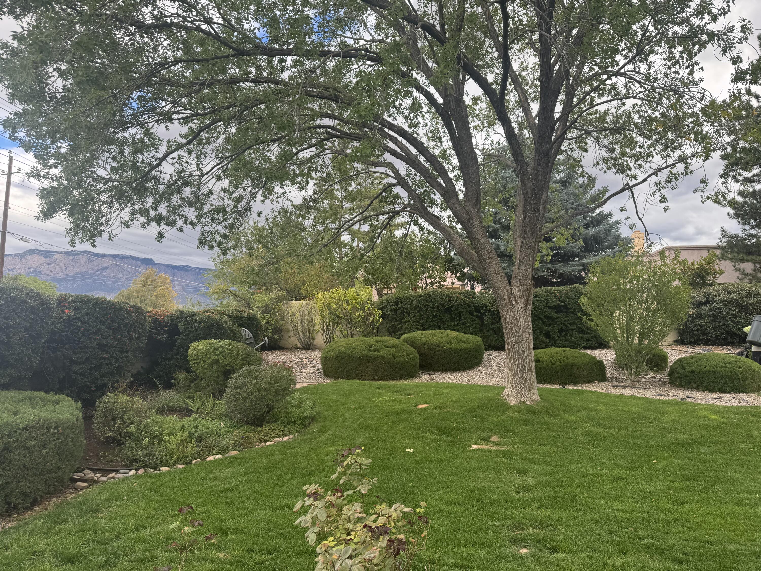 Photo 6 — 7010 Pala Mesa Court NE