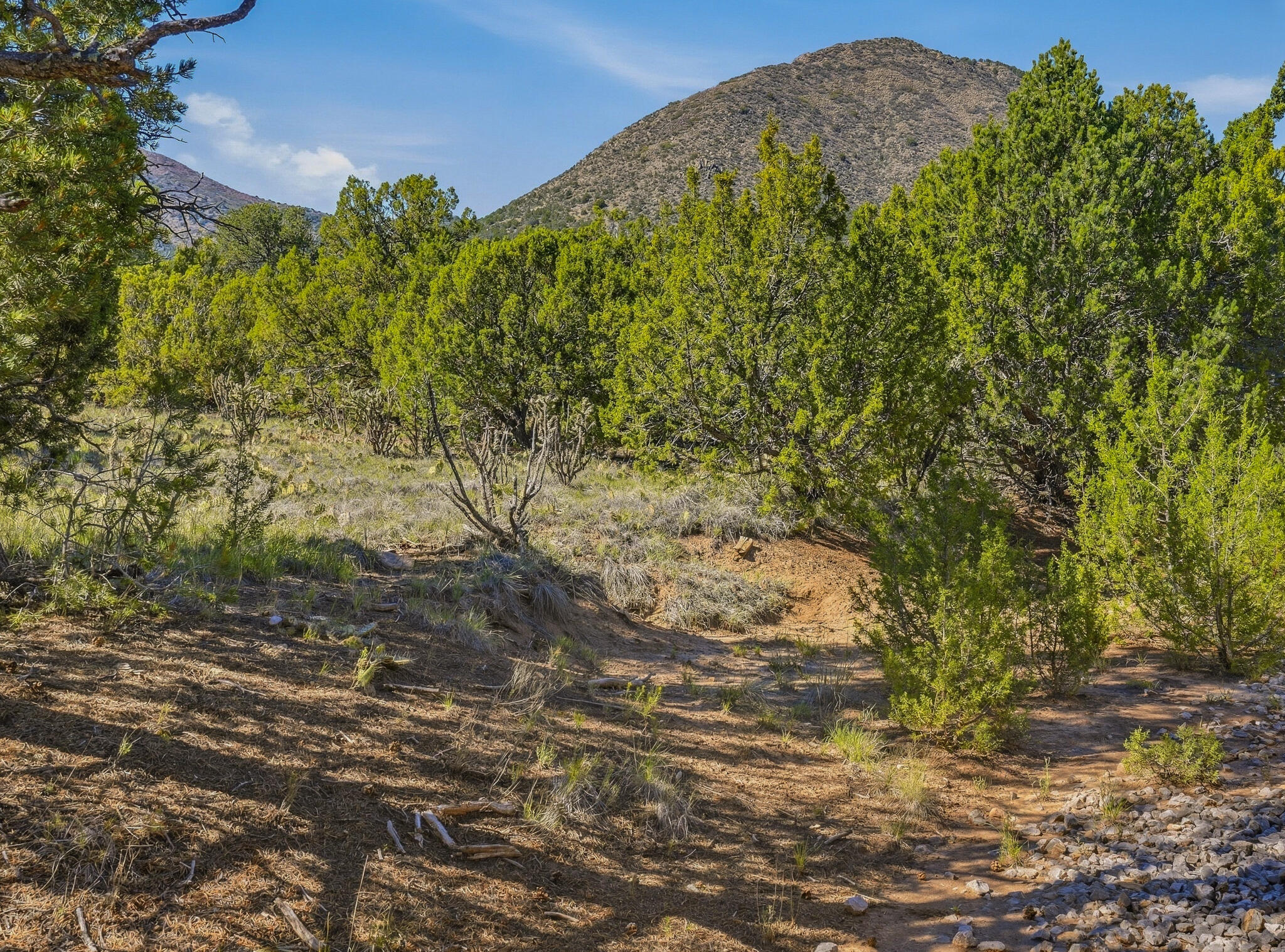Photo 9 — 8 Monte Oso