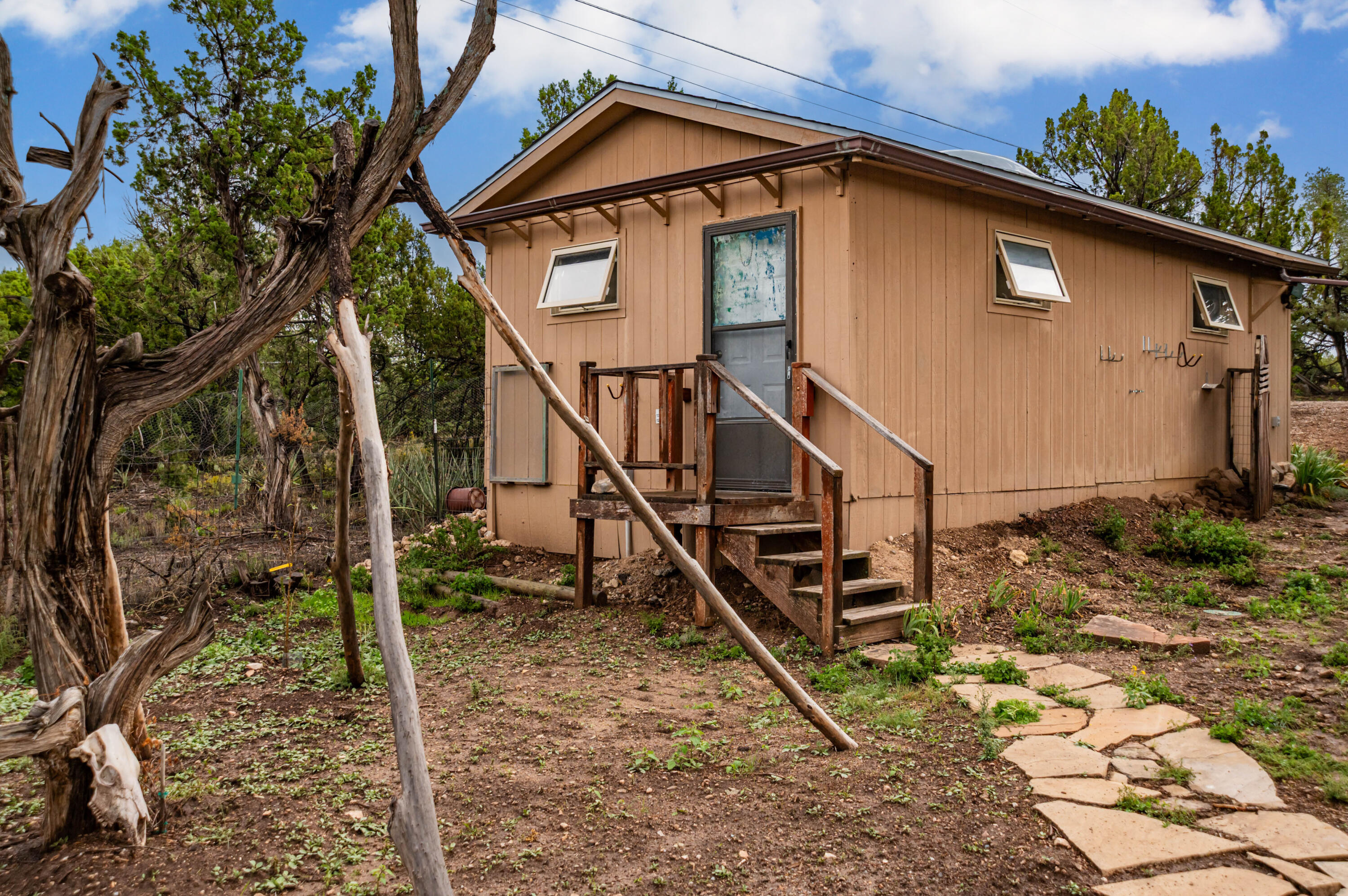 Photo 8 — 52 Moriarty Road