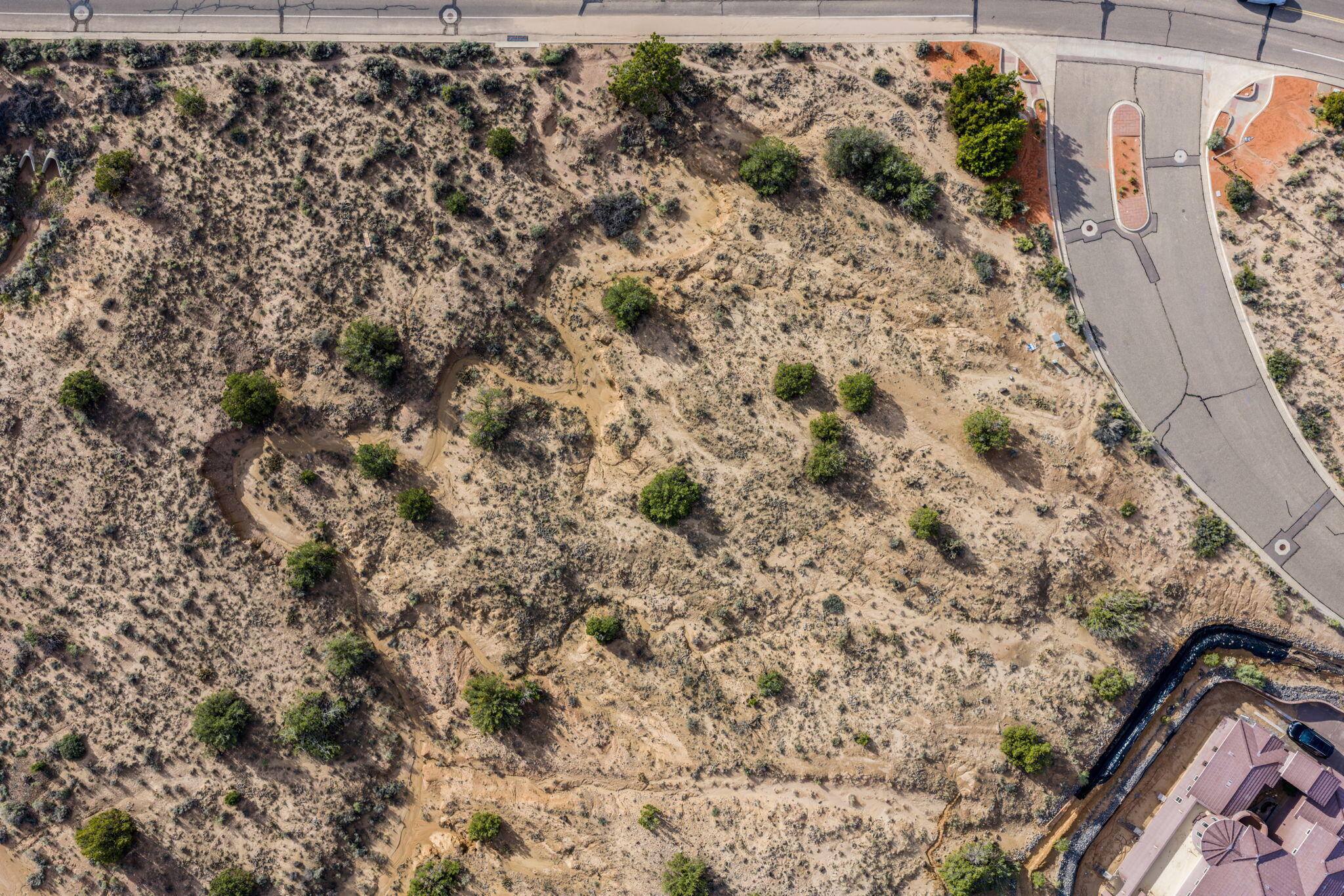 Photo 10 — 2403 Desert Zinnia Road