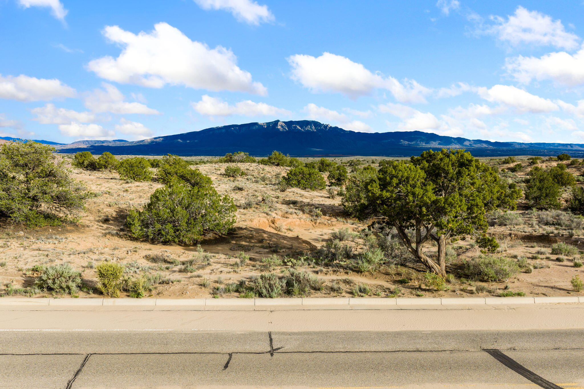 Photo 11 — 2403 Desert Zinnia Road