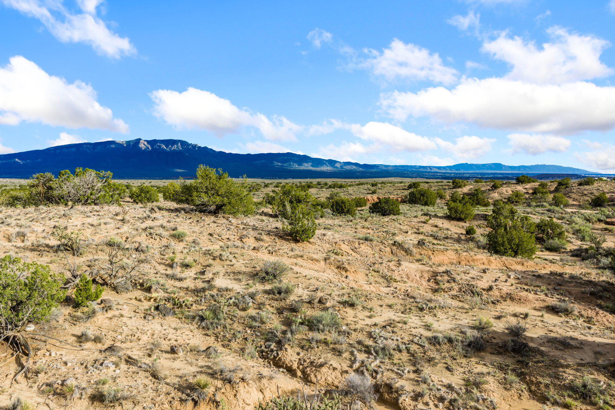 Photo 12 — 2403 Desert Zinnia Road