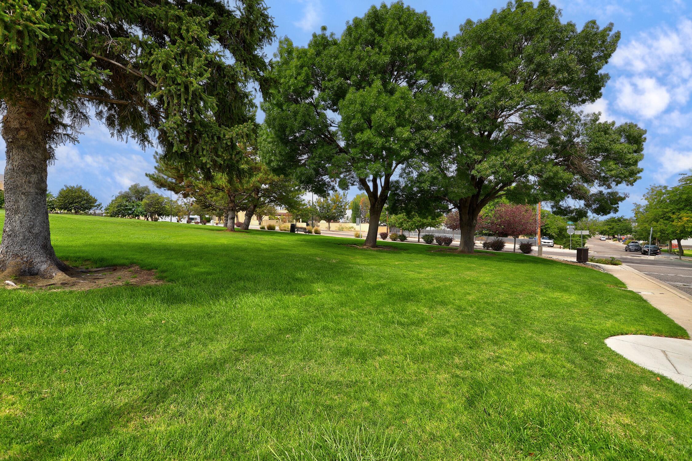 Photo 5 — 300 Aliso Drive SE
