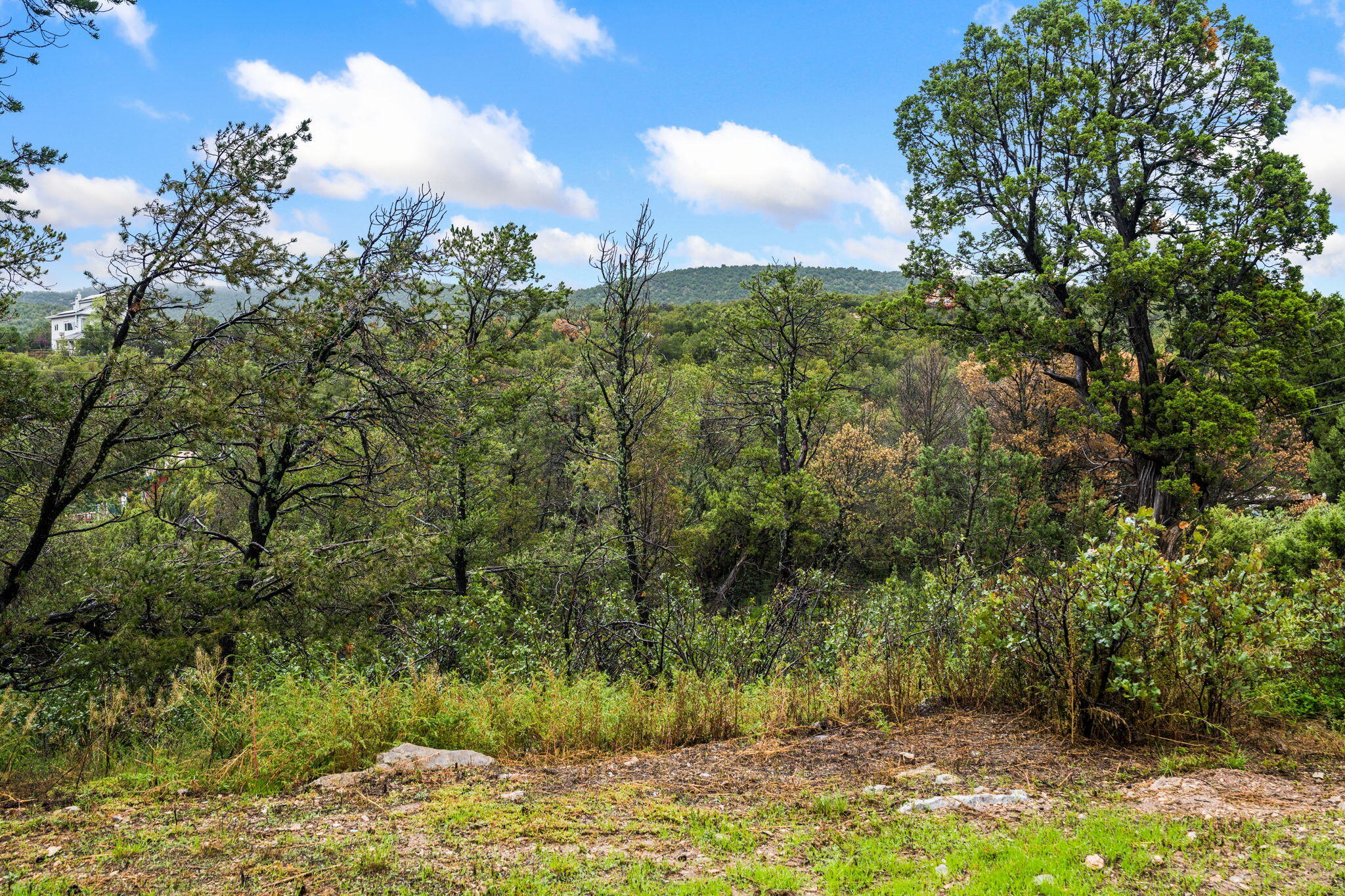 Photo 13 — 1 Gaddis Road