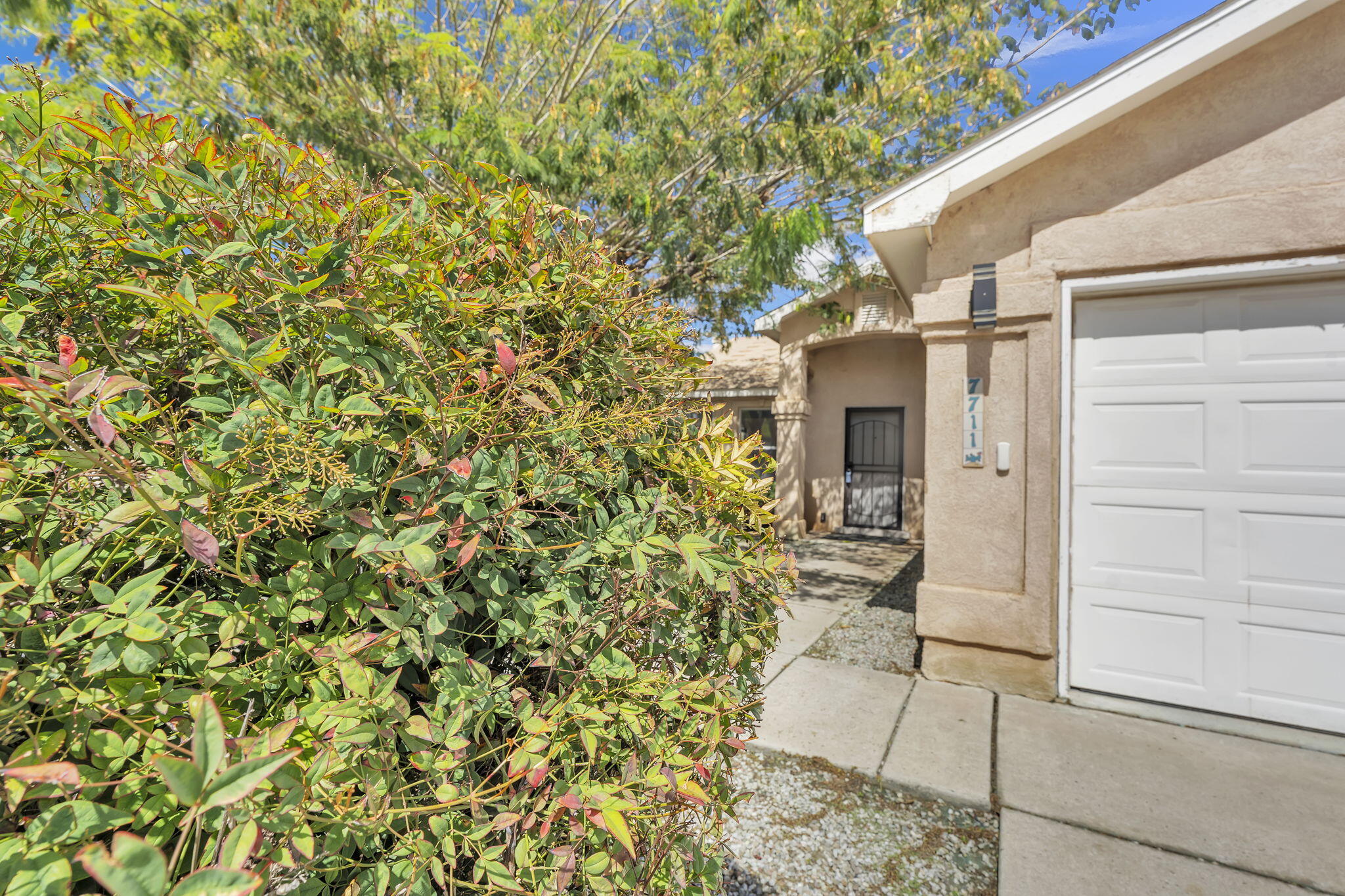 Photo 6 — 7711 Kane Court NW