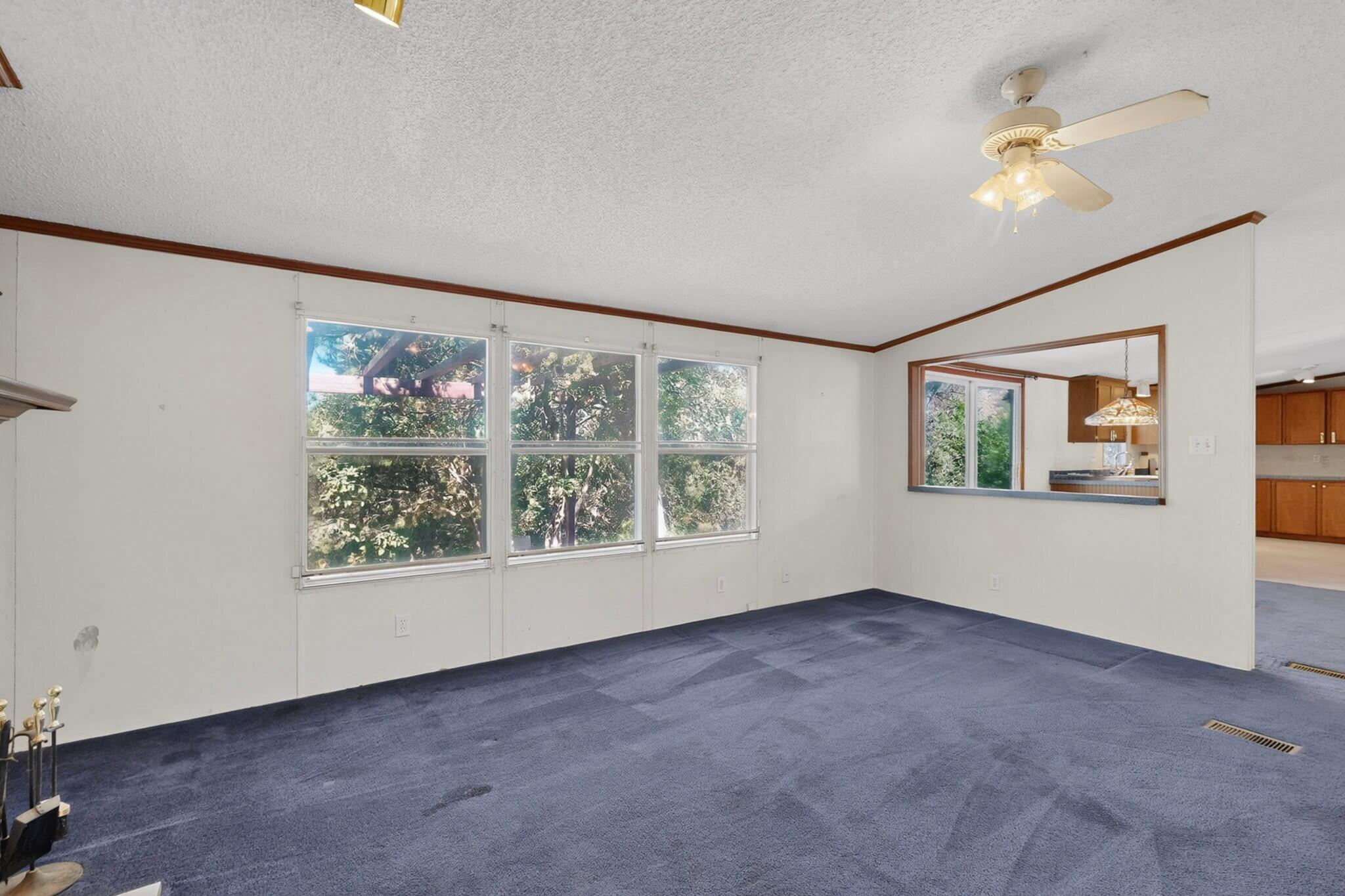 Photo 4 — 37 Darby Drive