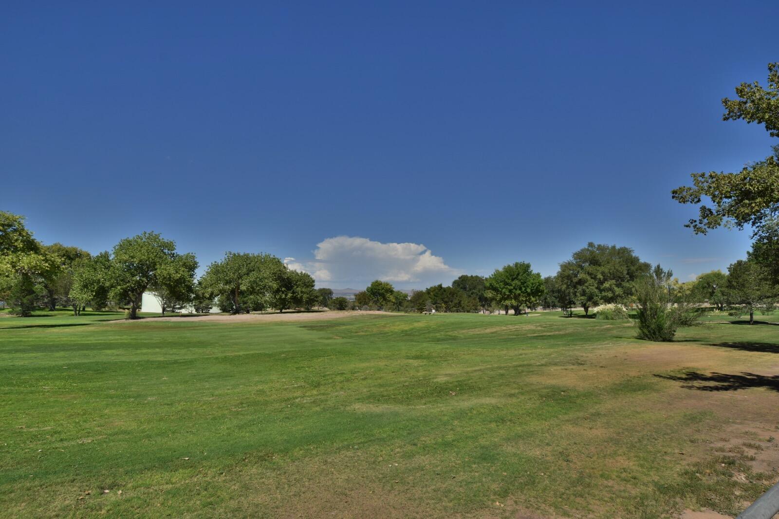 Photo 4 — 1325 Wellesley Drive SE