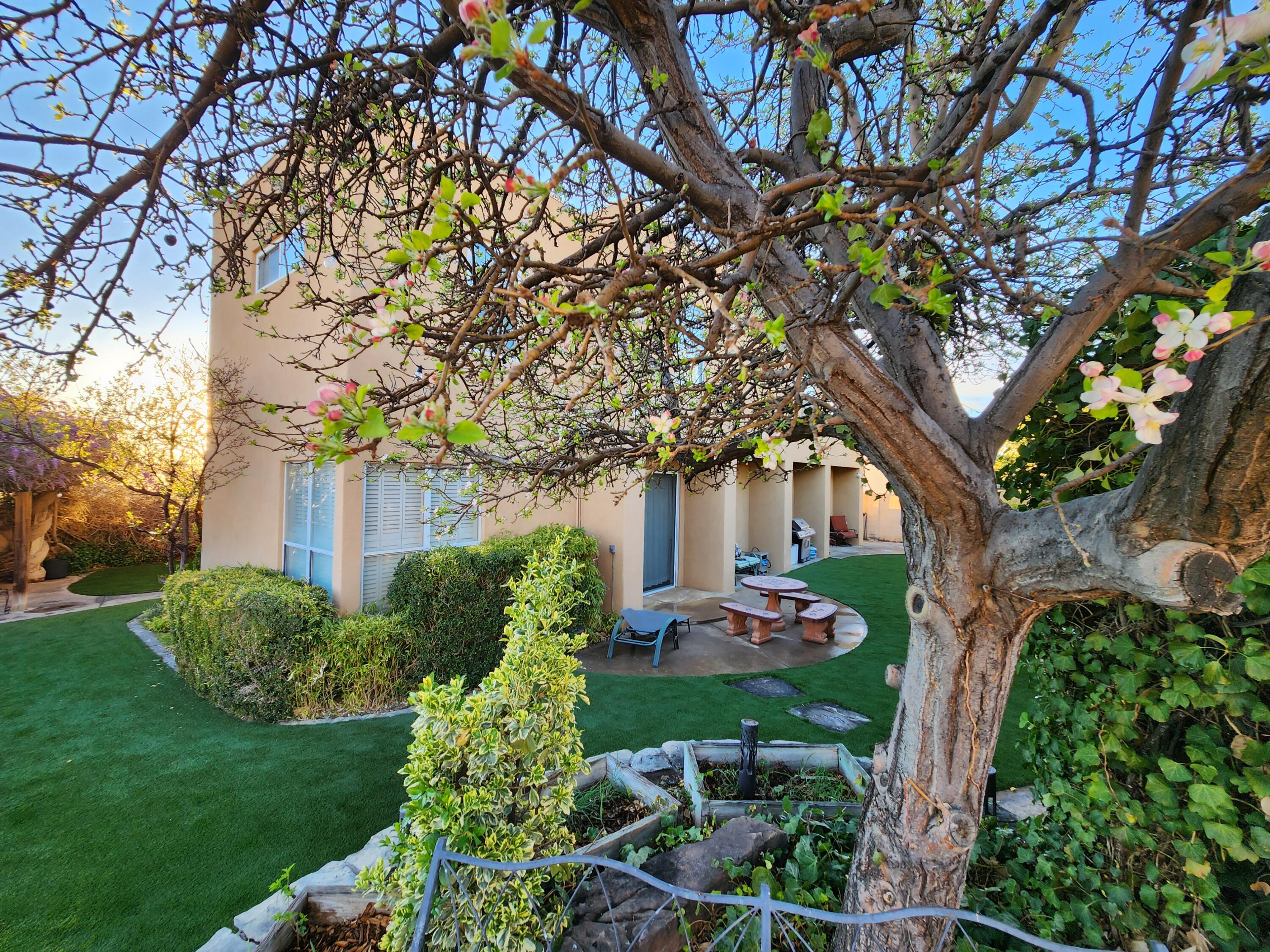 Photo 3 — 10016 Academy Knolls Drive NE